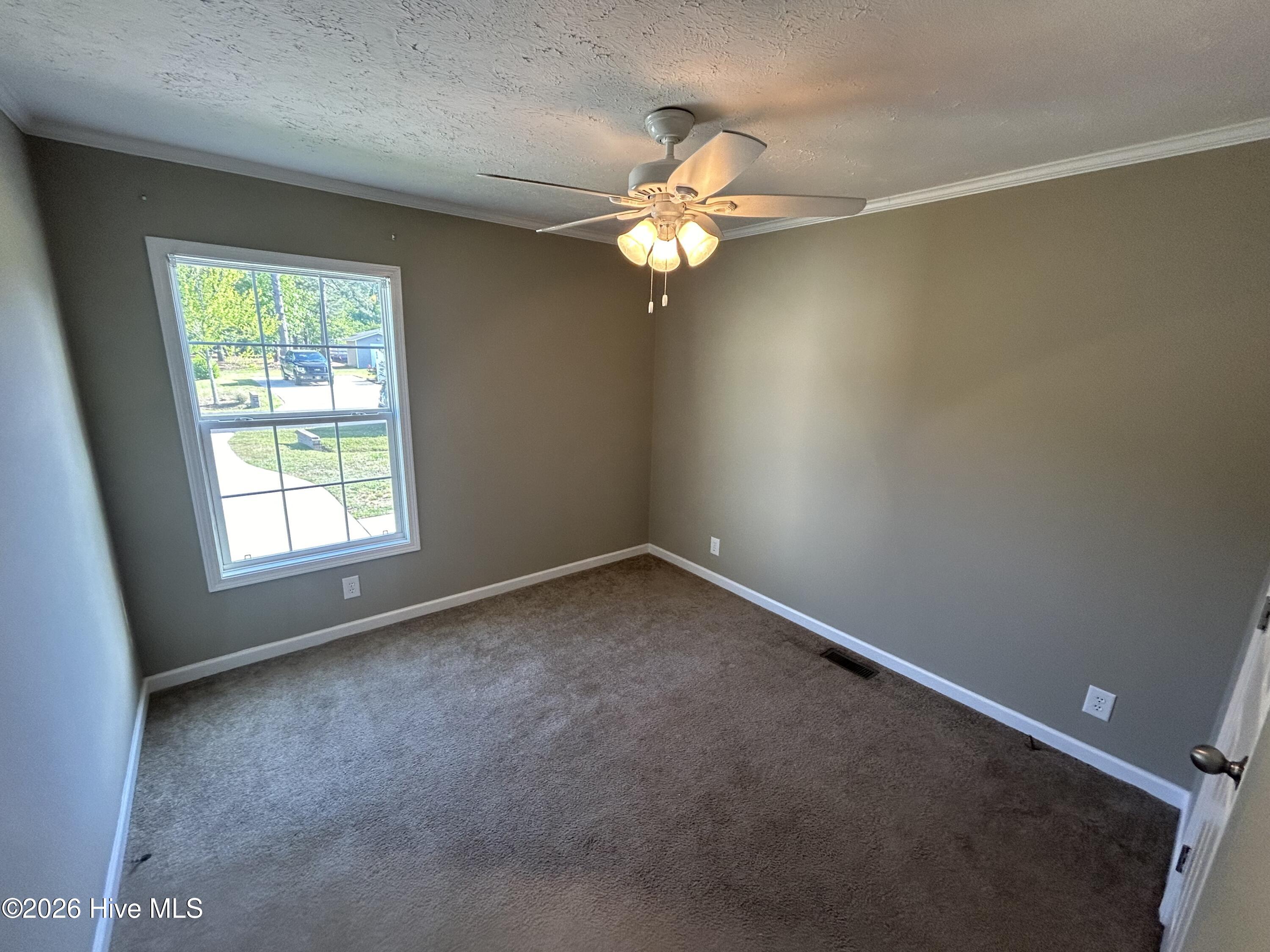 100559246 | Photo 18