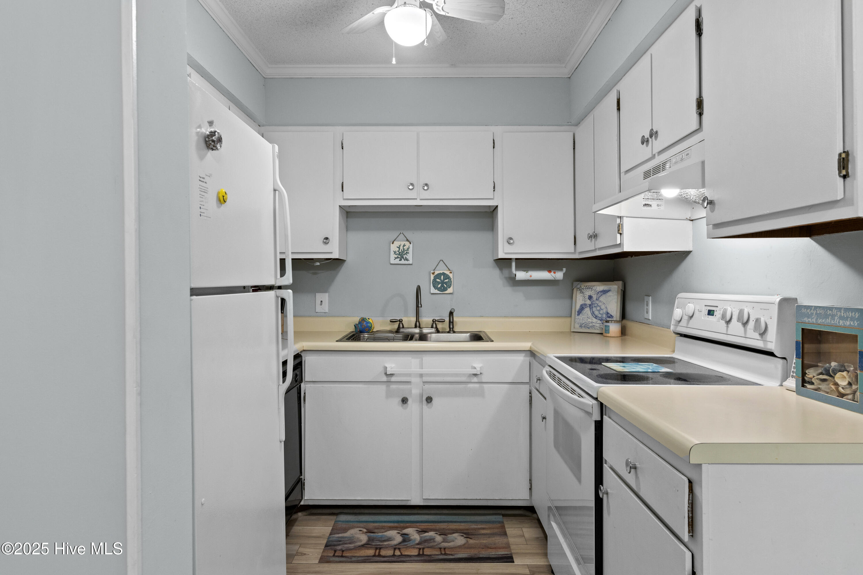 100514890 | Photo 13