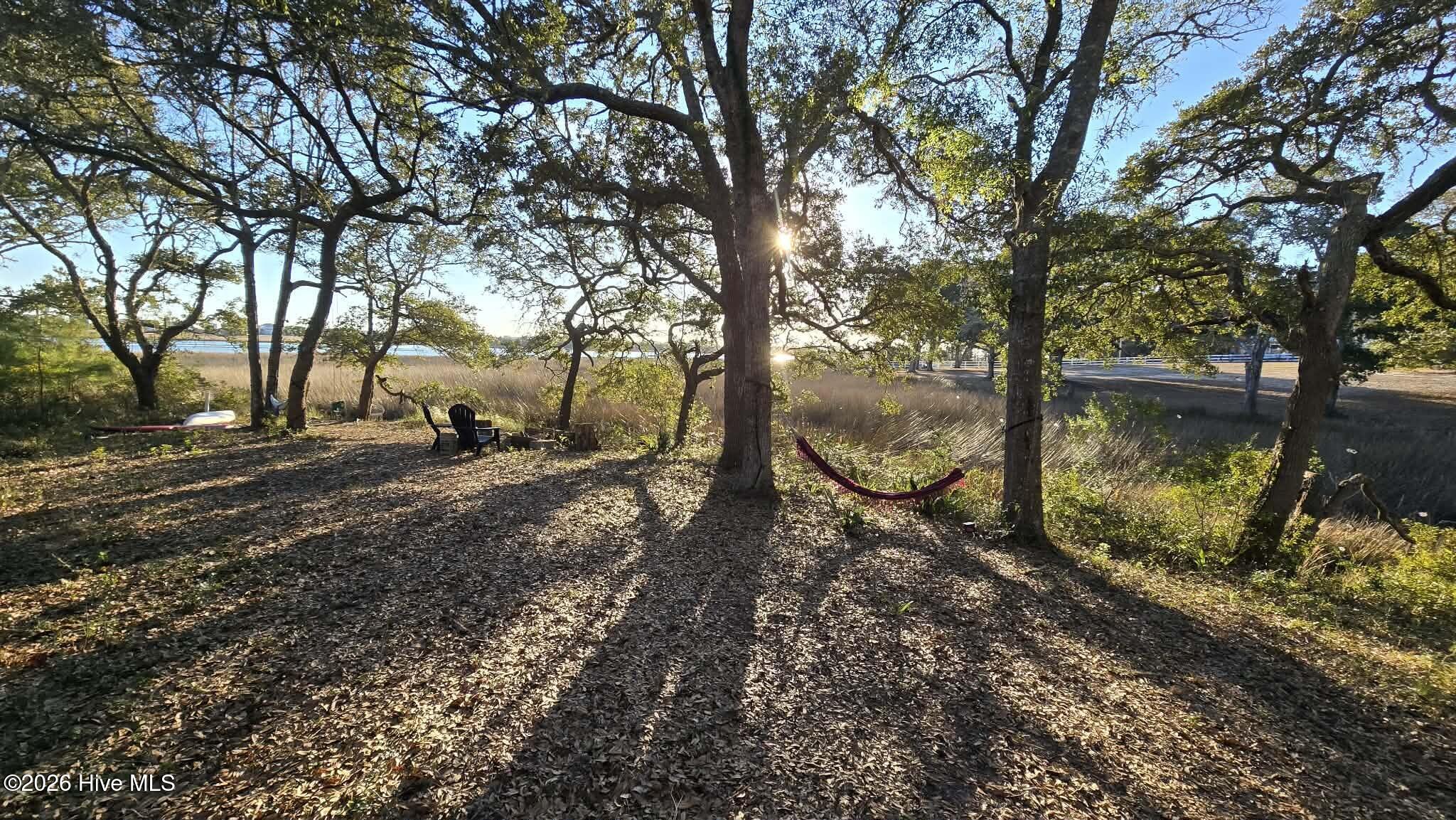 100547303 | Photo 56