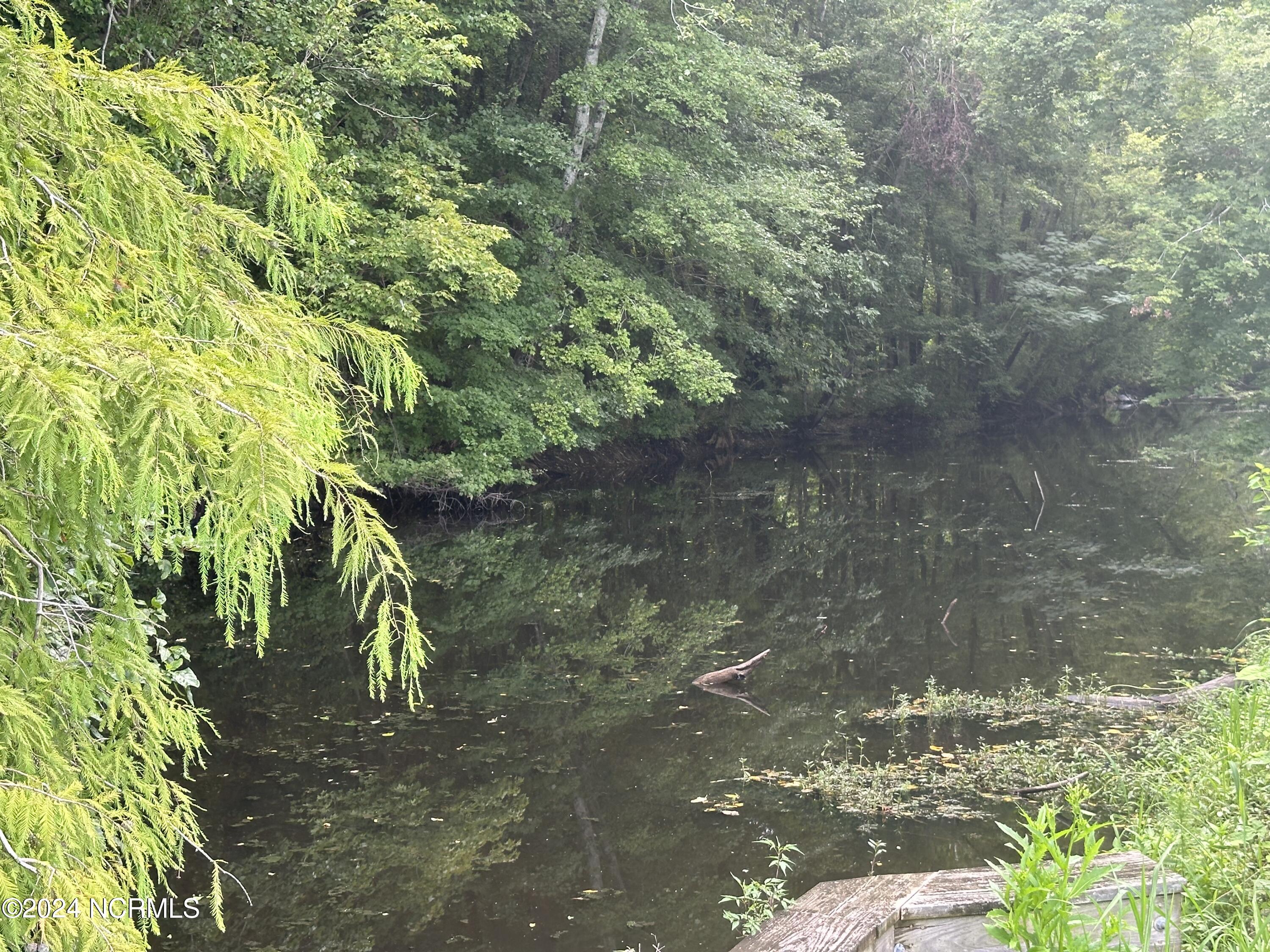 100557783 | Photo 12