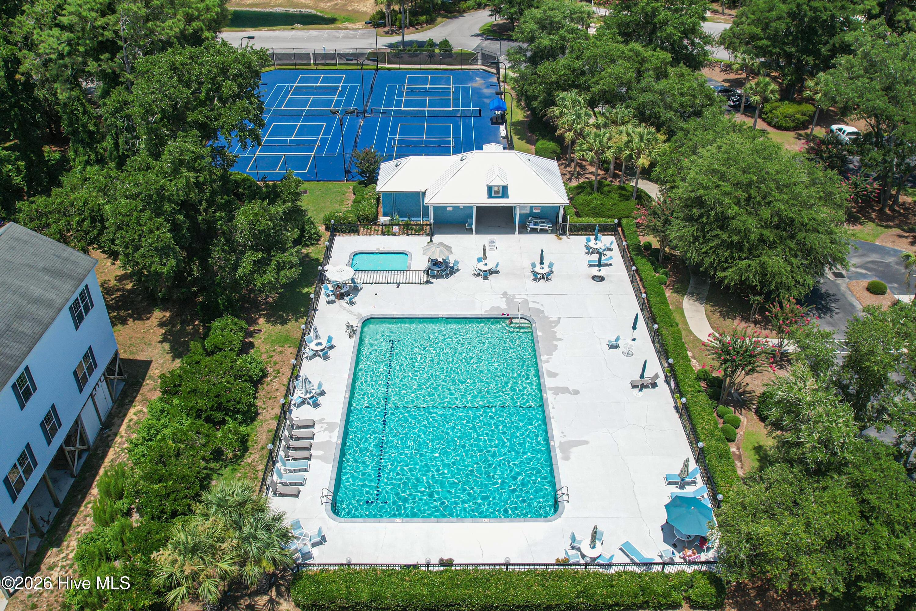 100557802 | Photo 34