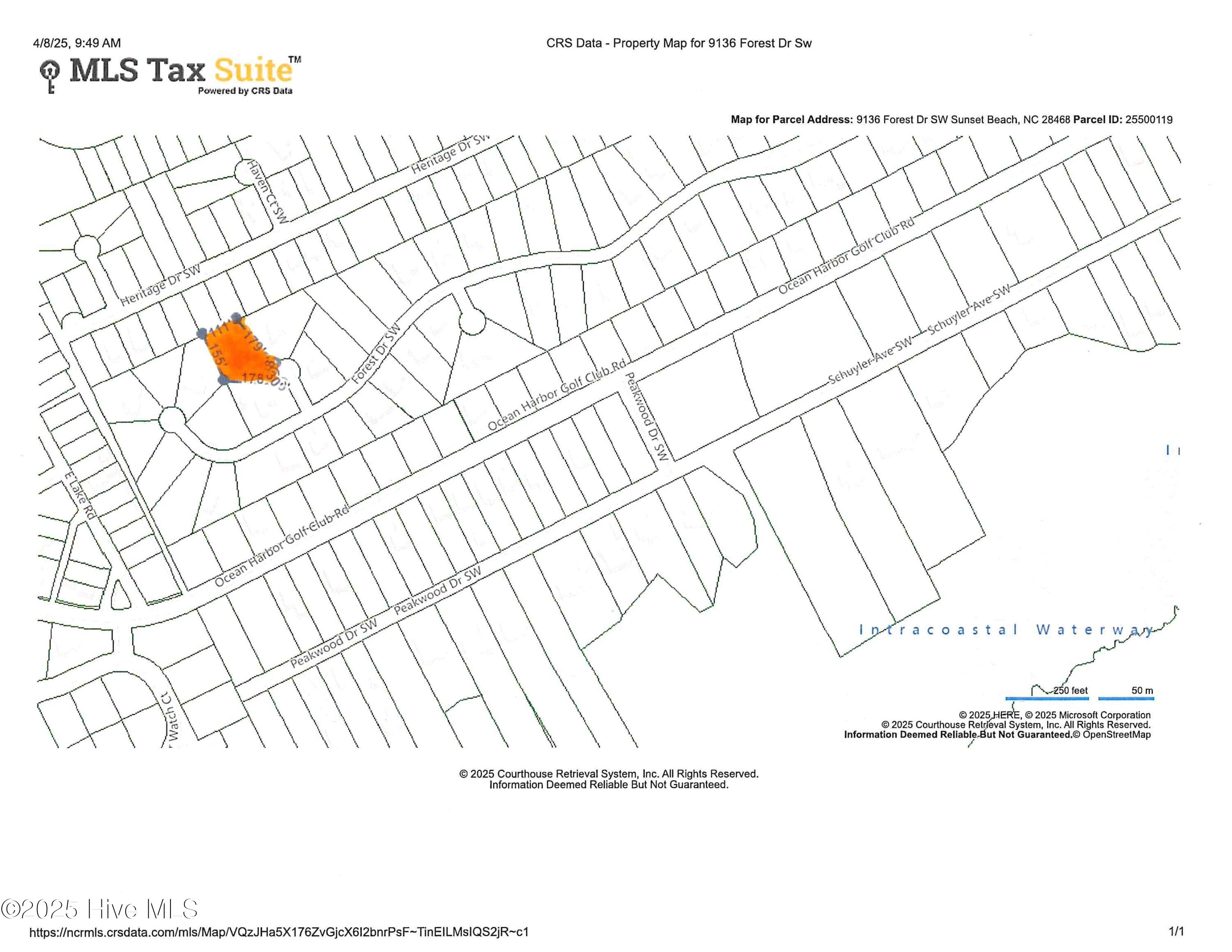 100499822 | Photo 26