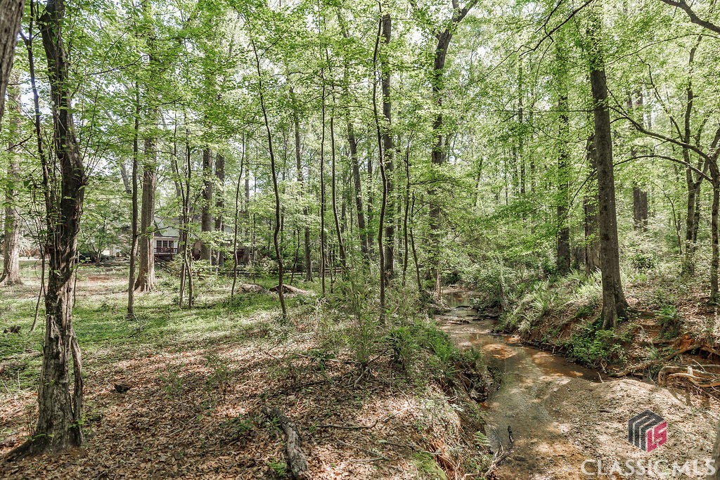 1031 Long Branch Run