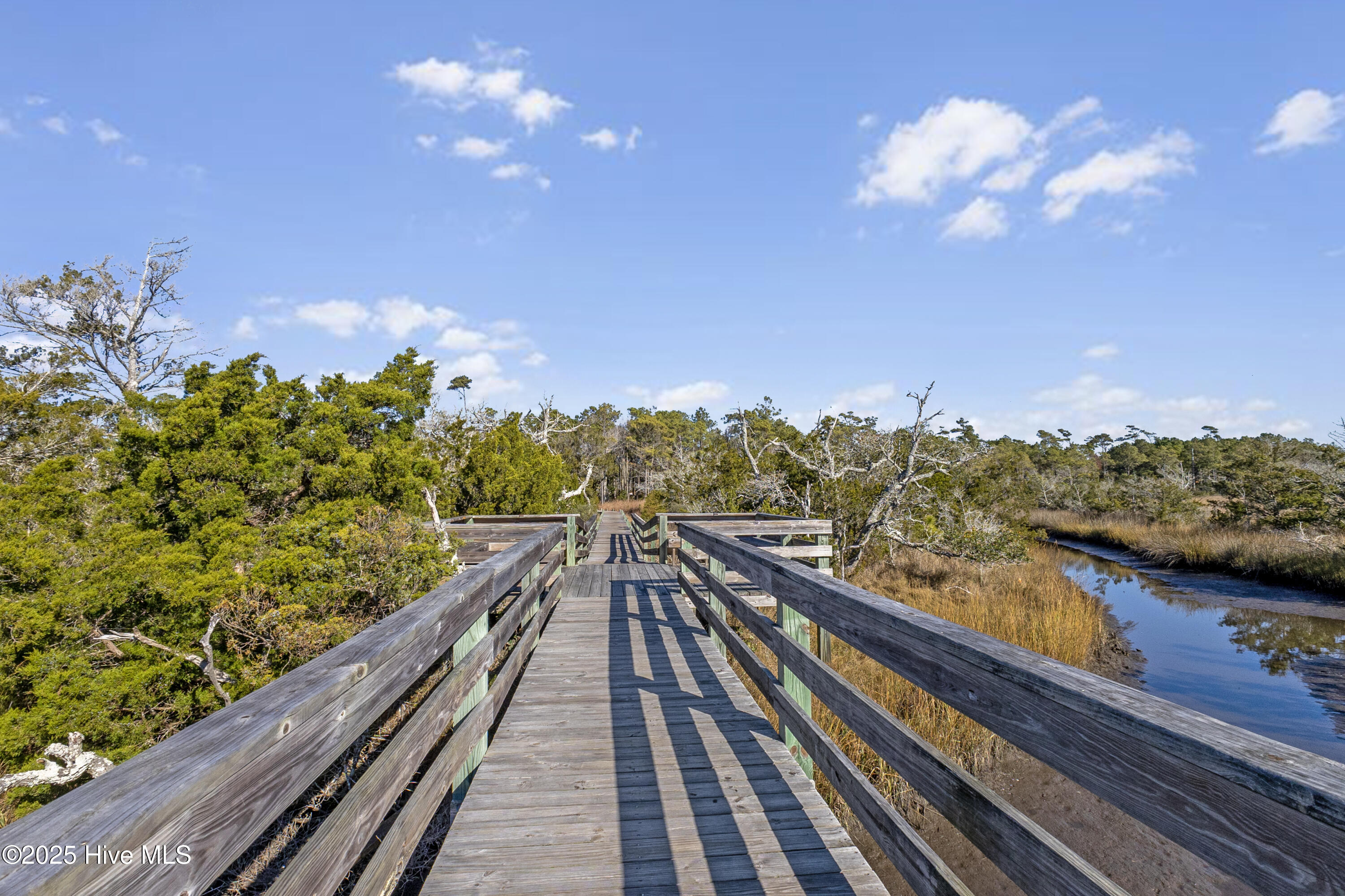 100569924 | Photo 42