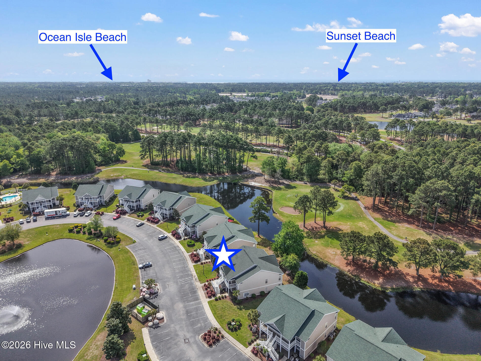 100566917 | Photo 40