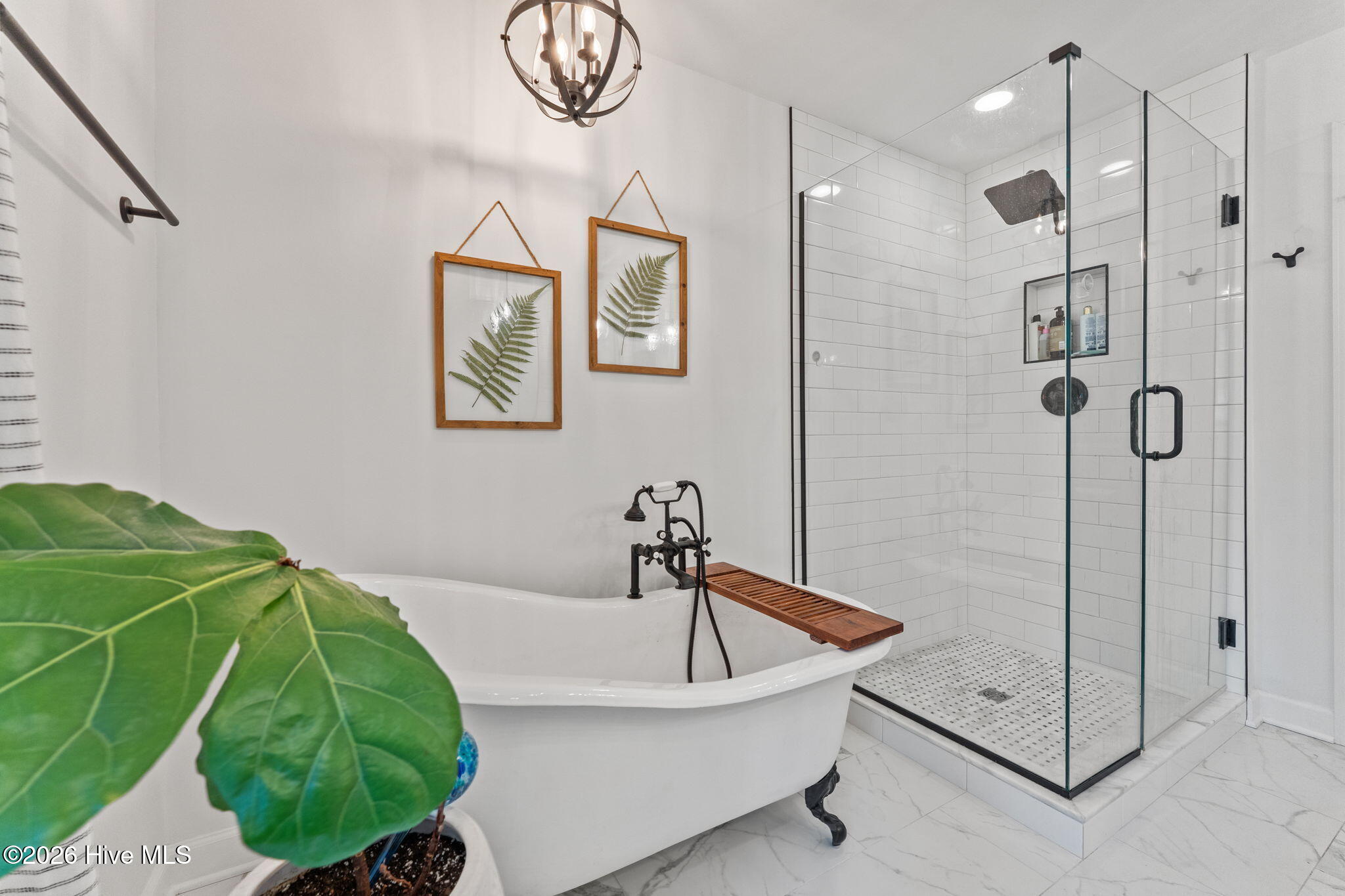 30-web-or-mls-DSC03966