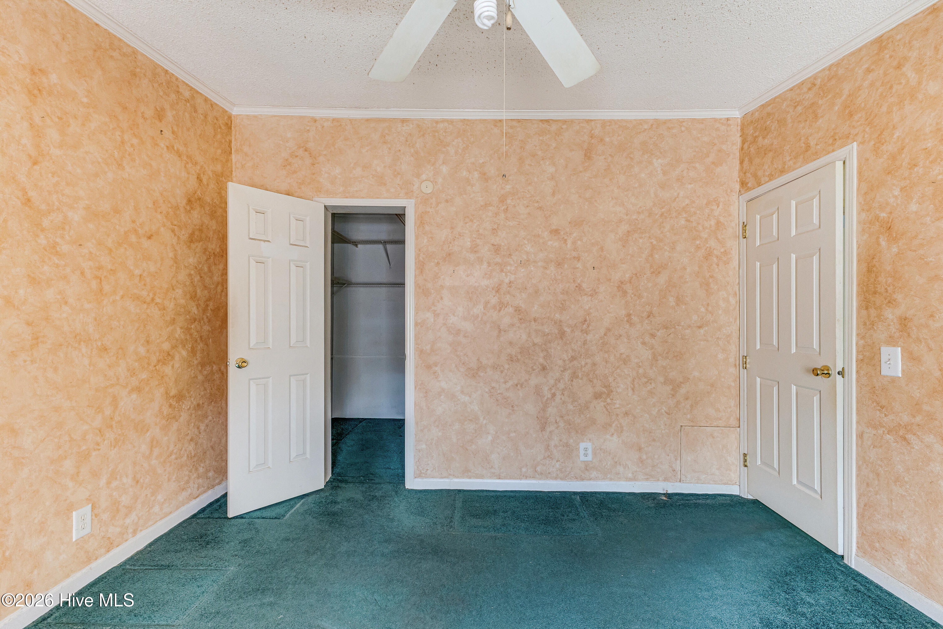 100559404 | Photo 23