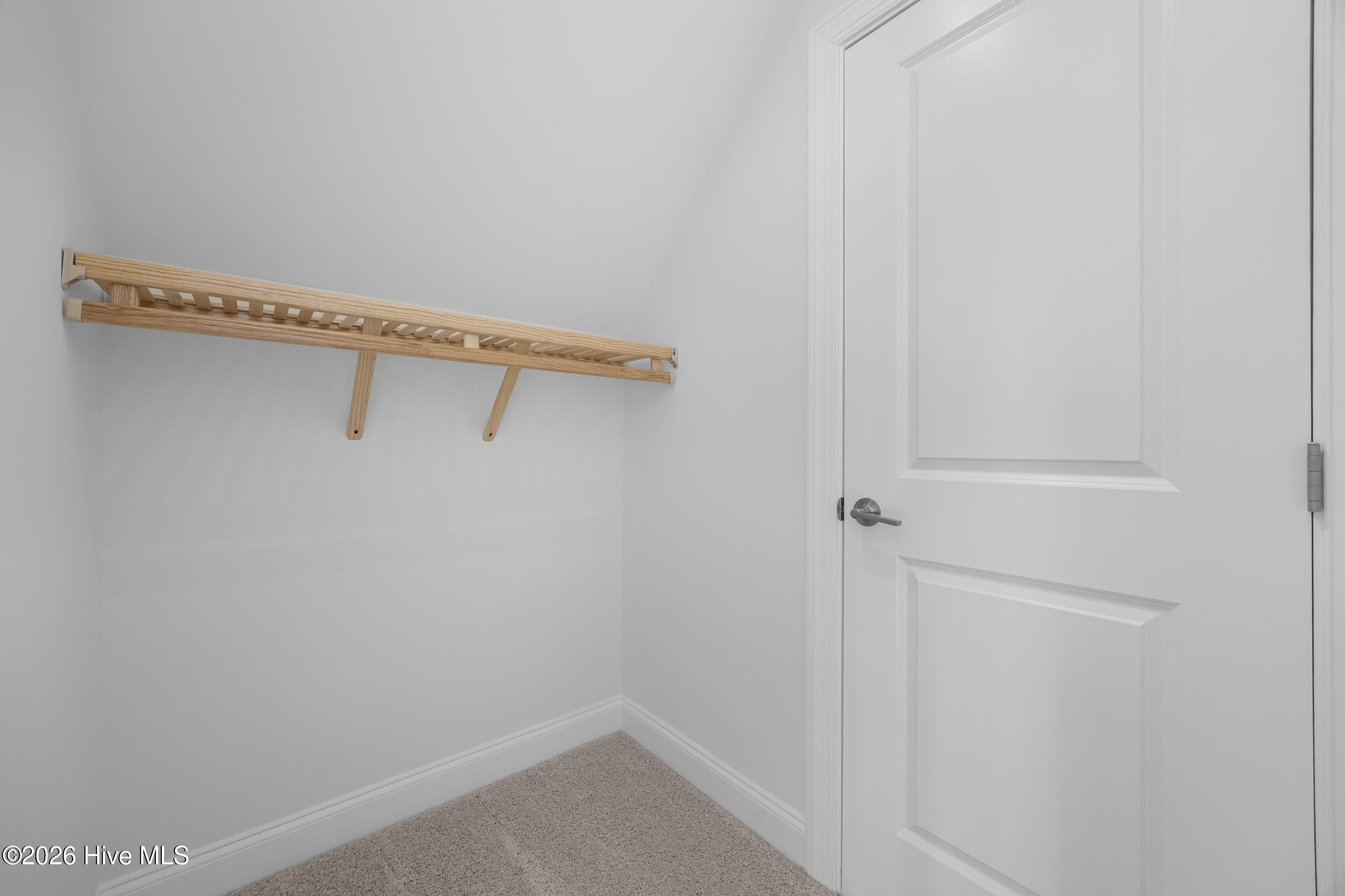 100527053 | Photo 39