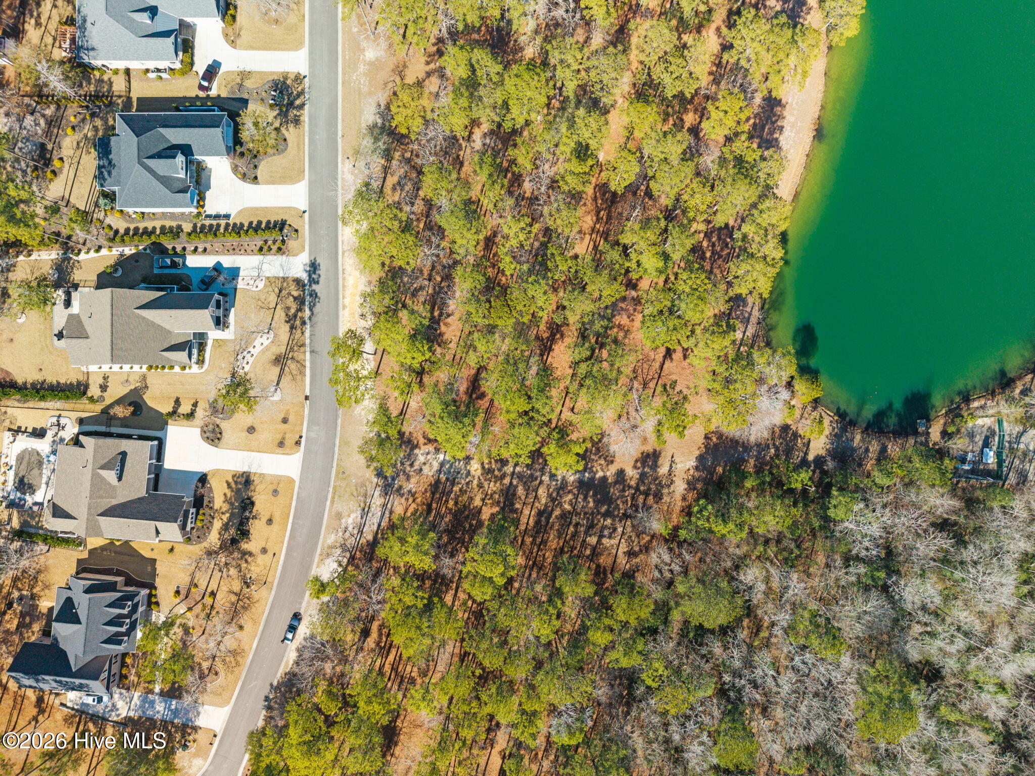 100554844 | Photo 14