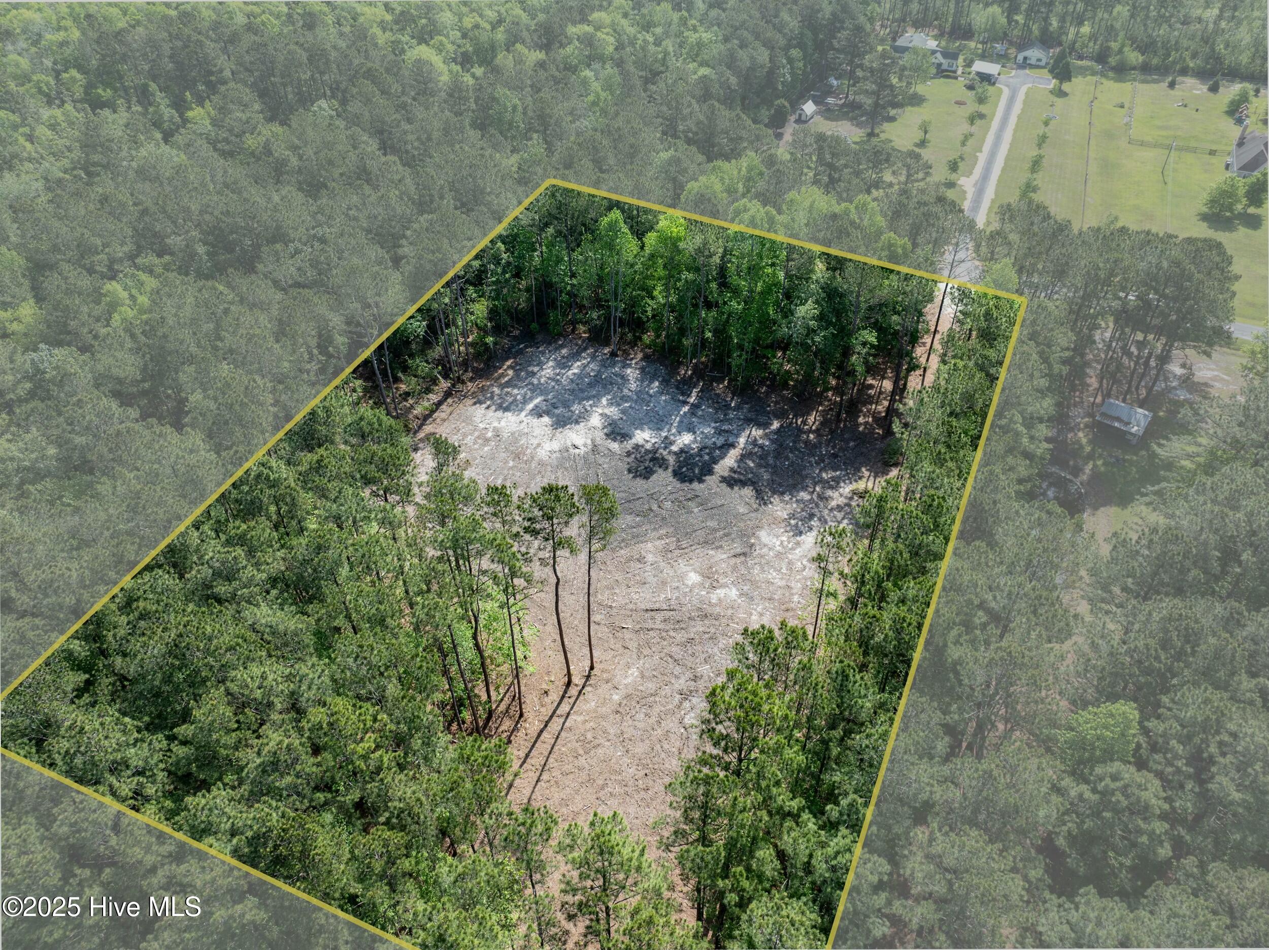 100503919 | Photo 19