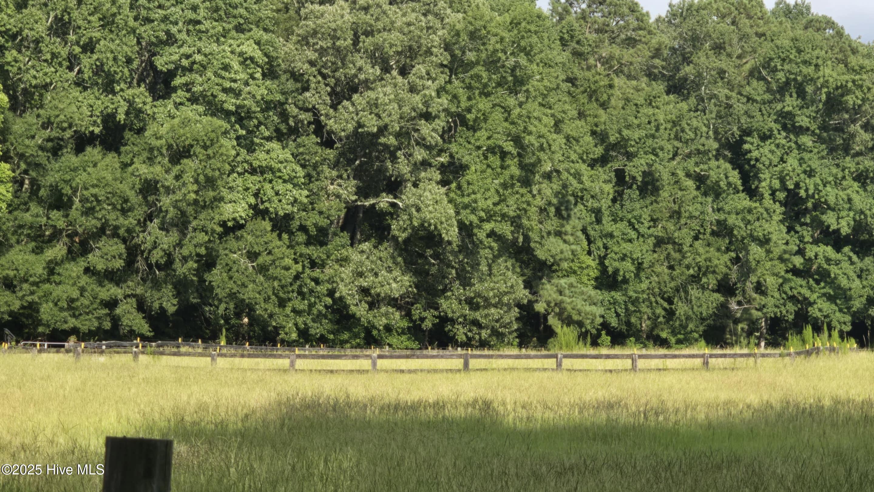 100522277 | Photo 18