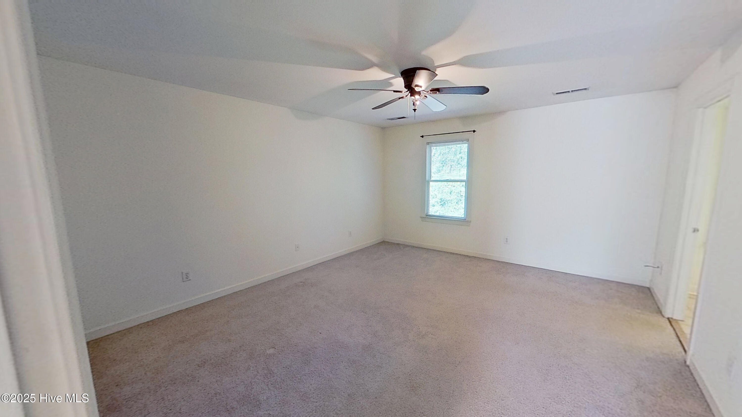 100523164 | Photo 11