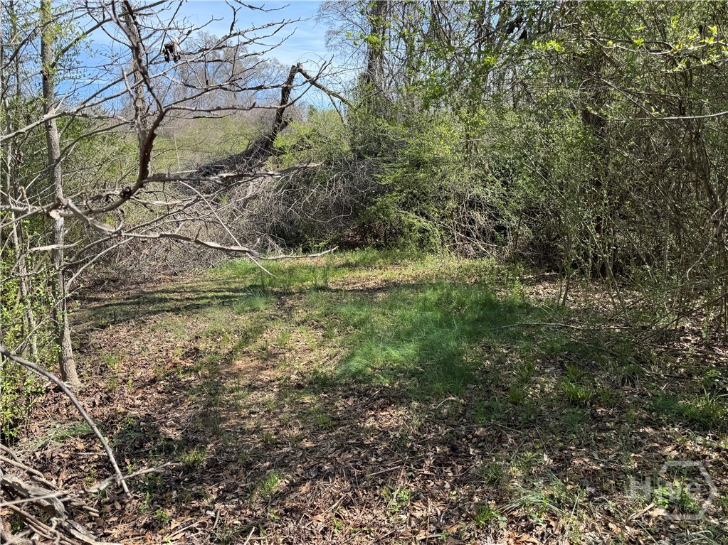 738 Old Mineral Springs Road, Elberton, GA, 30635