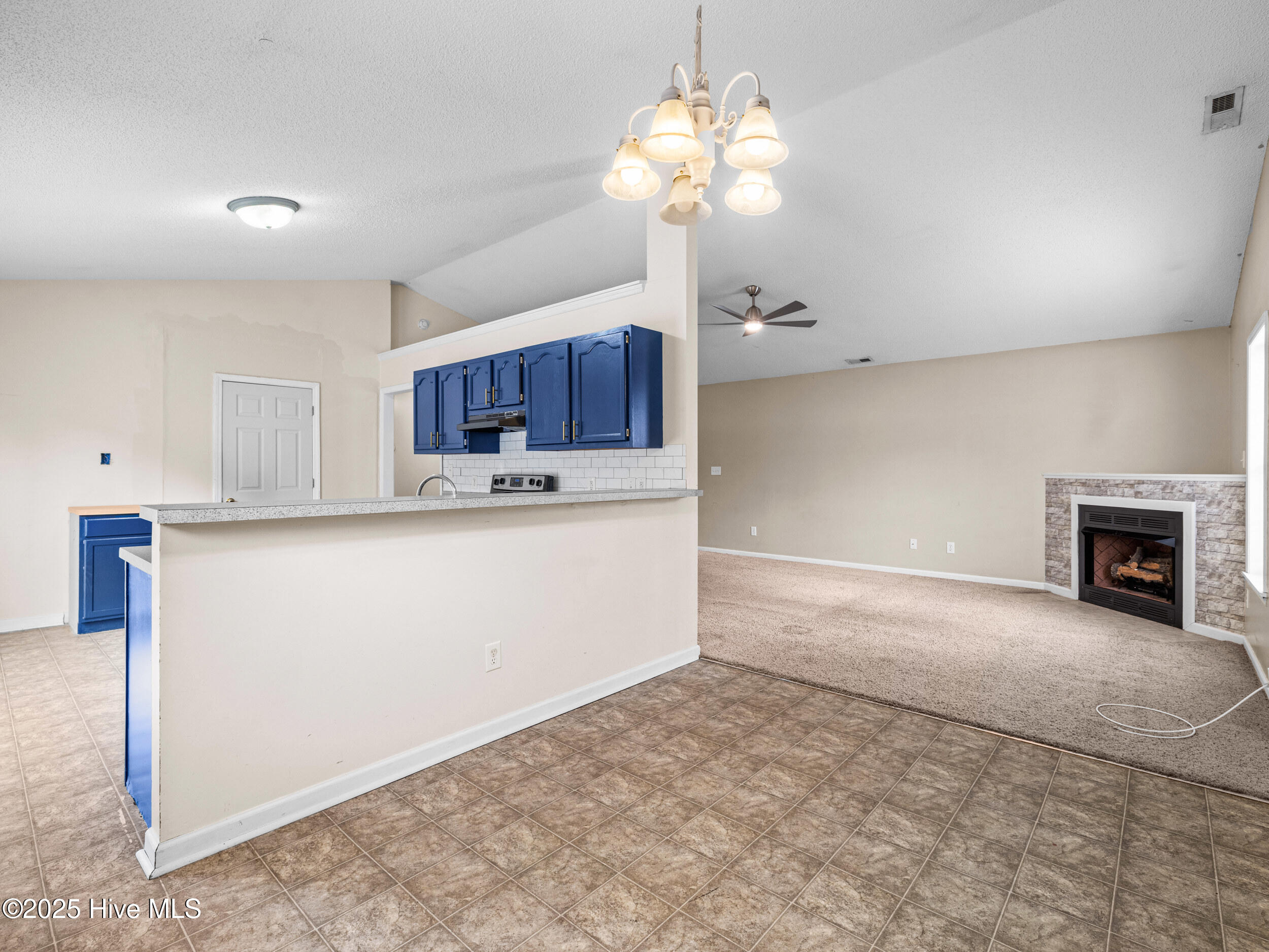 100546613 | Photo 15