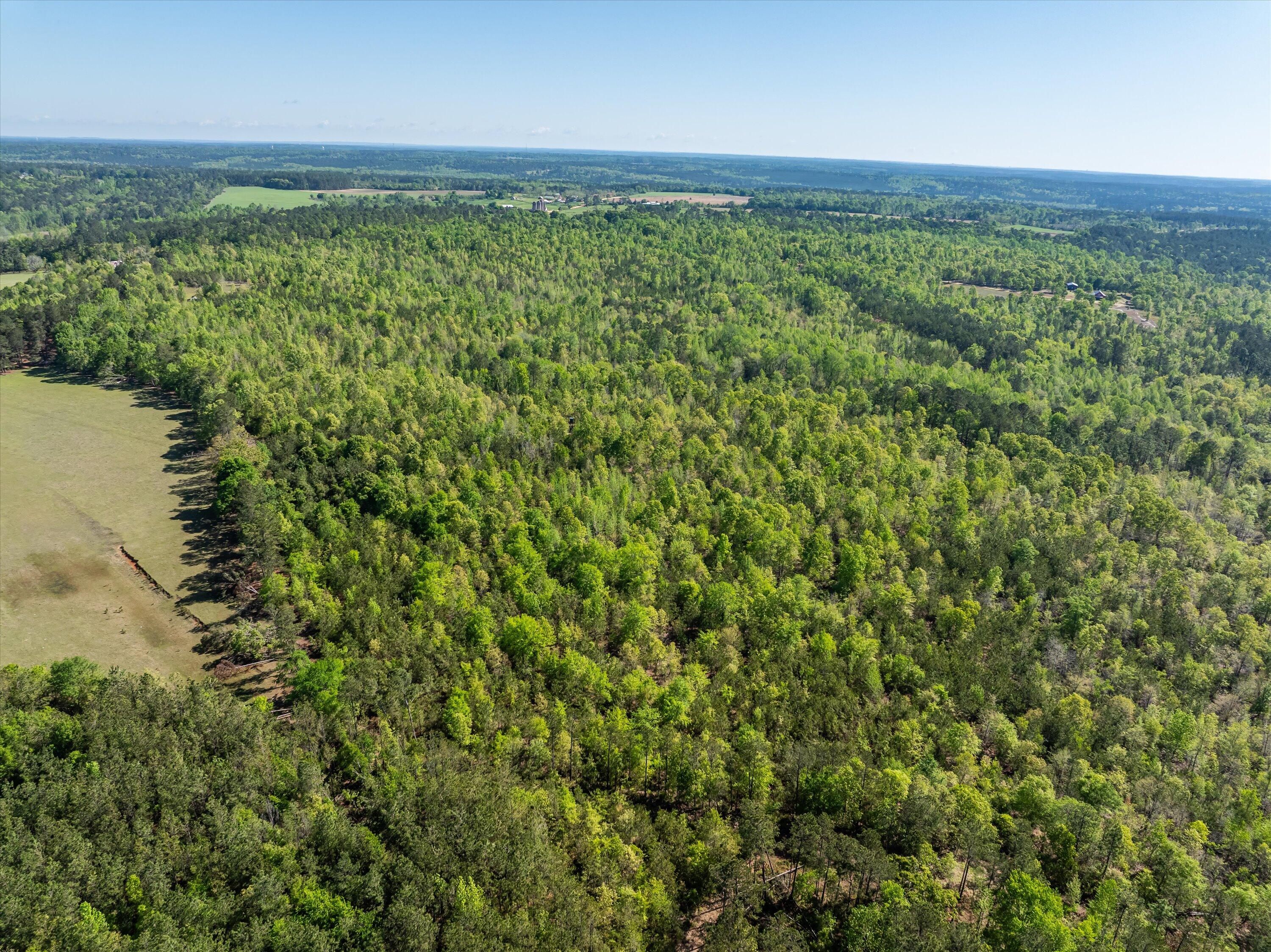 14-DJI_0668-HDR