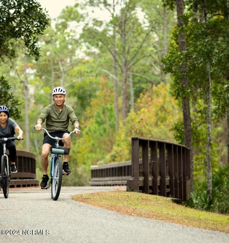 100527684 | Photo 51