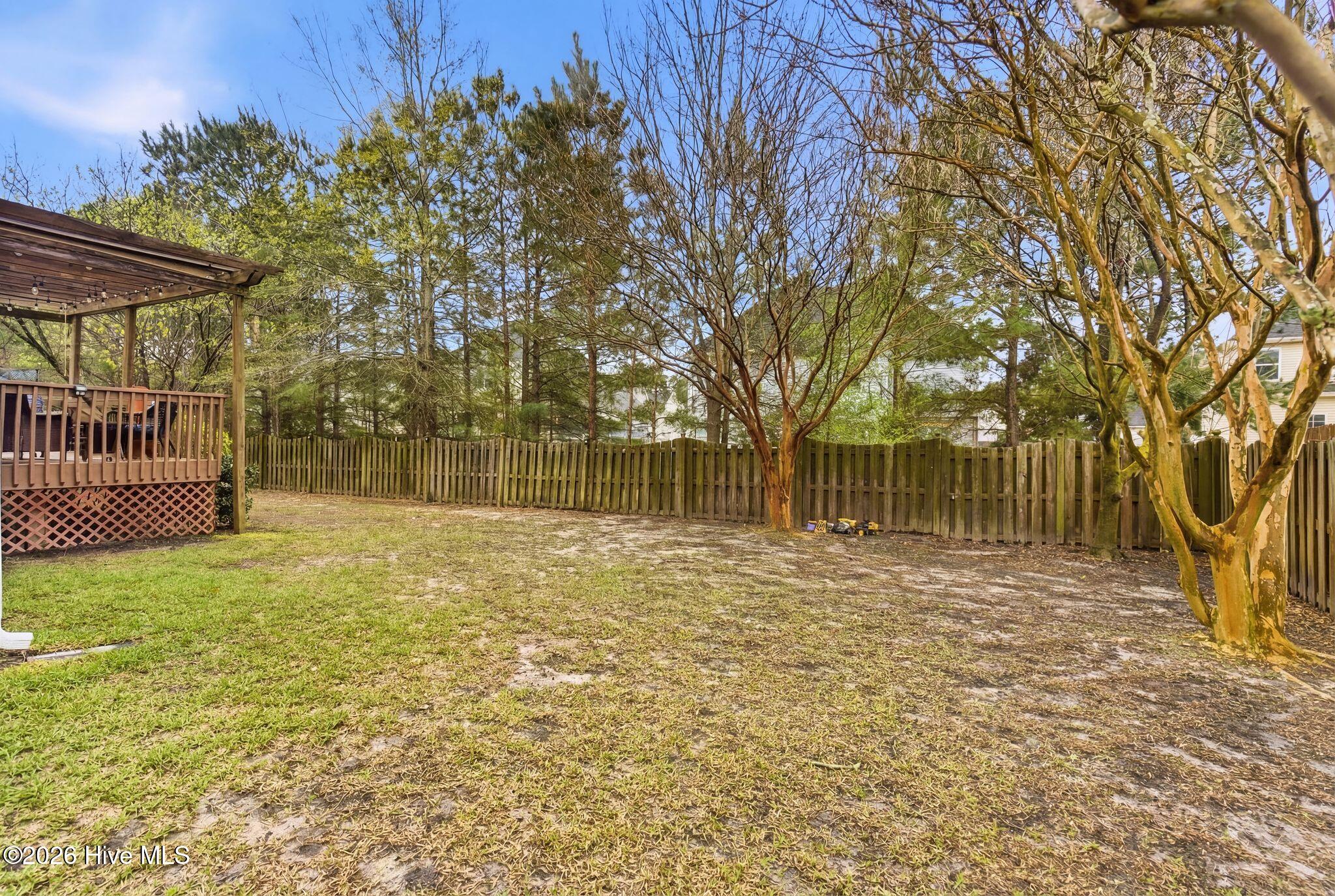 100561216 | Photo 39