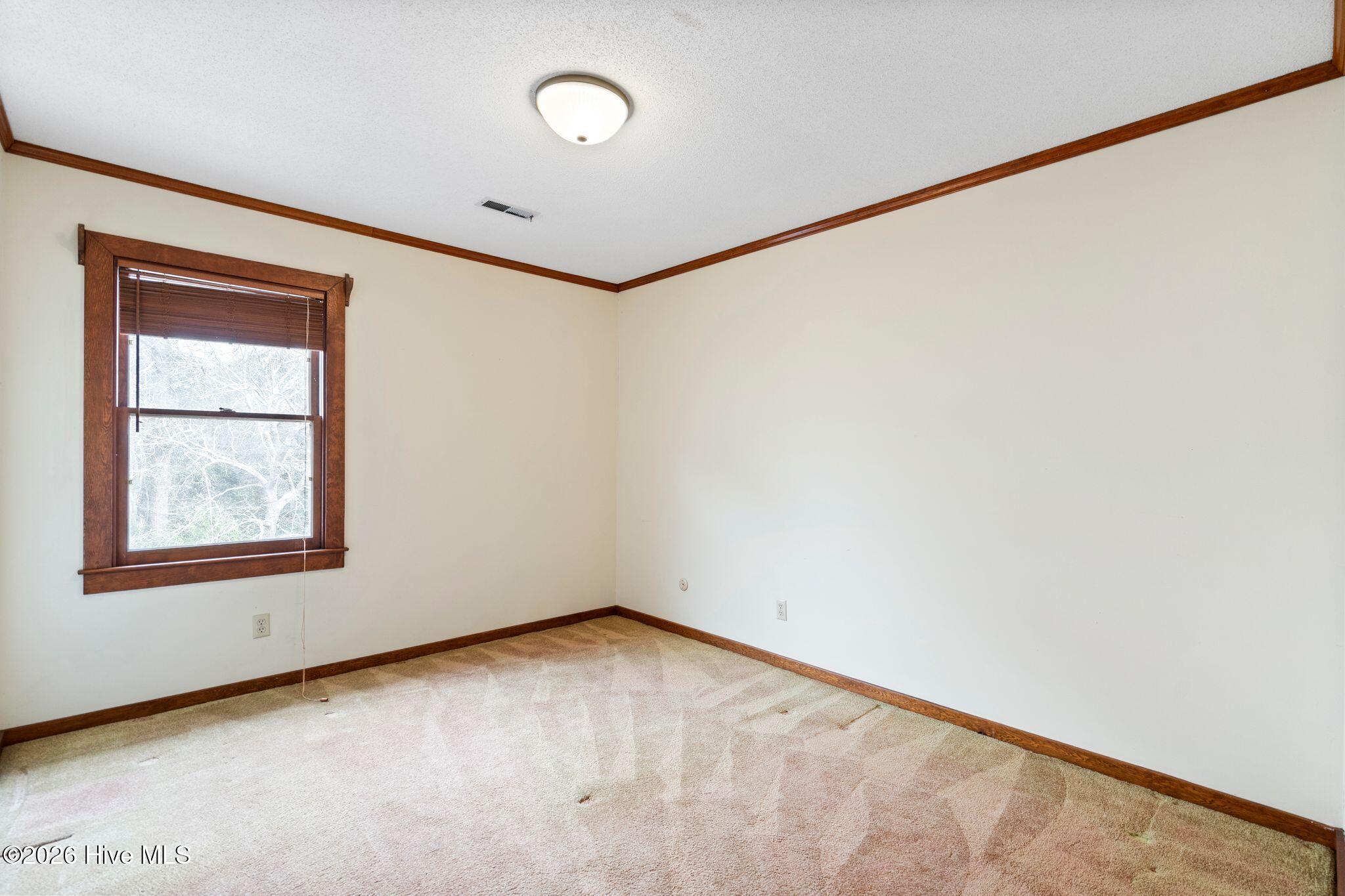 100555910 | Photo 33