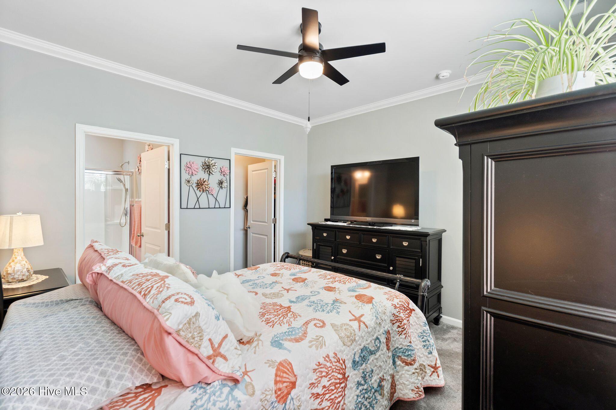 100550283 | Photo 33