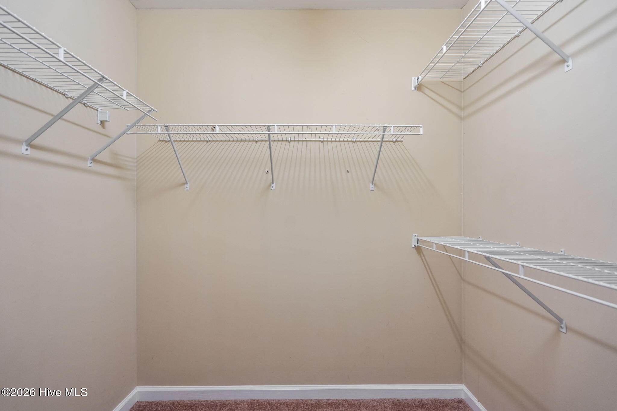 100560149 | Photo 27