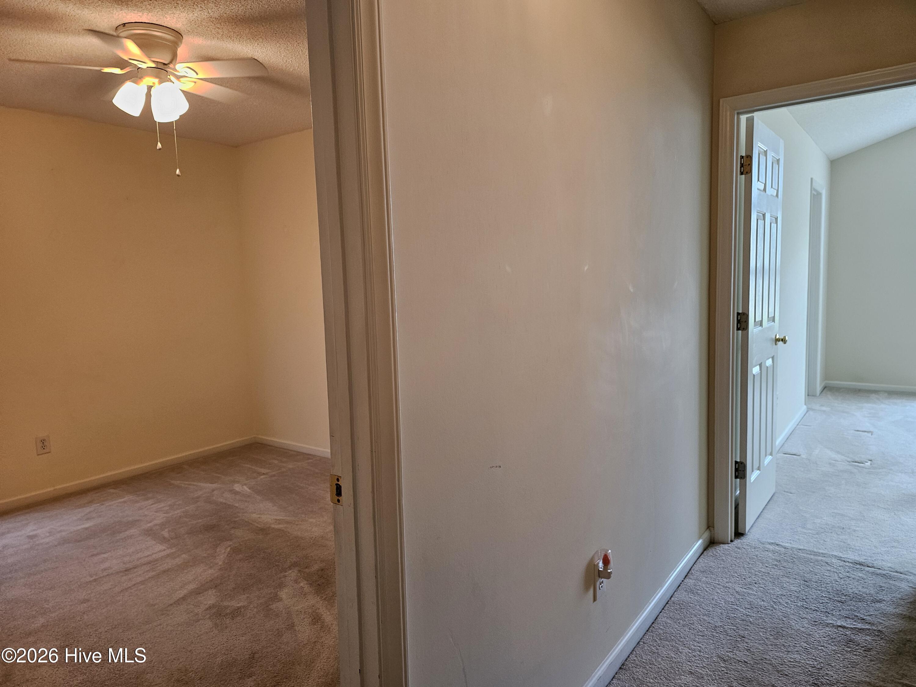 100566879 | Photo 20