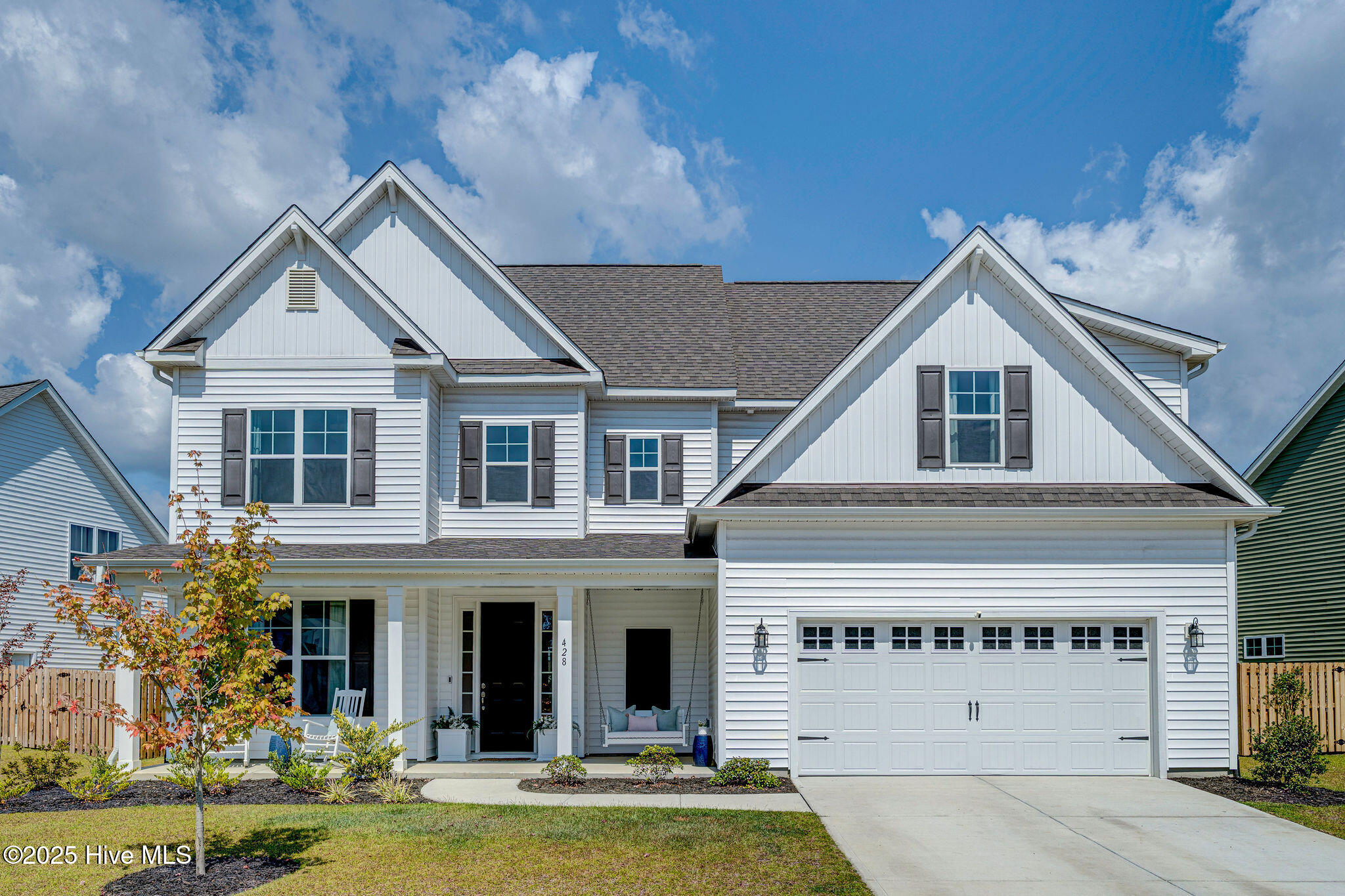 428NorthernPintailFinal-2