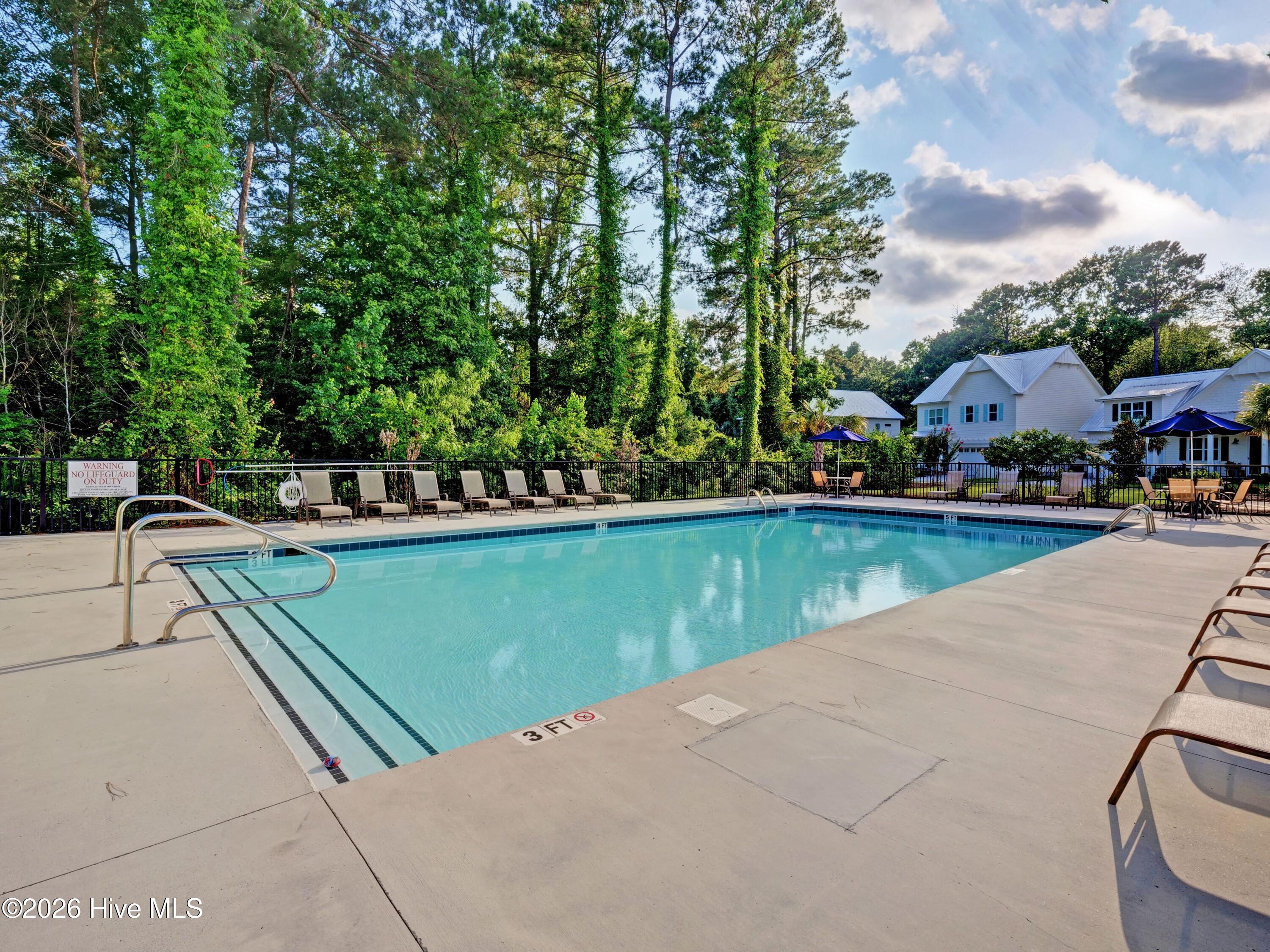 100567023 | Photo 33