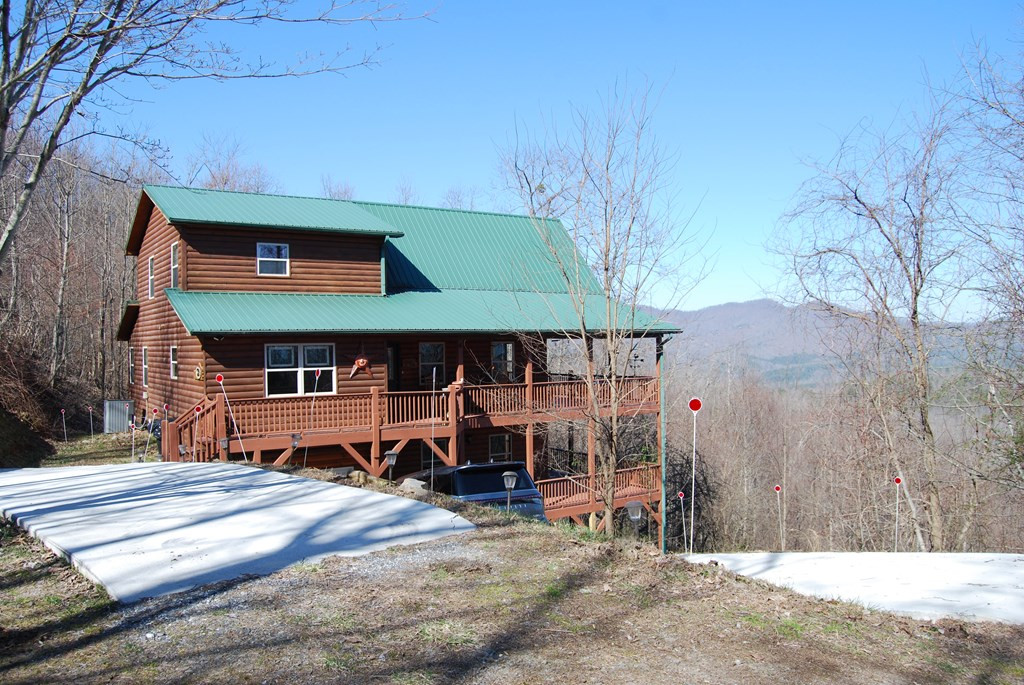 Main View