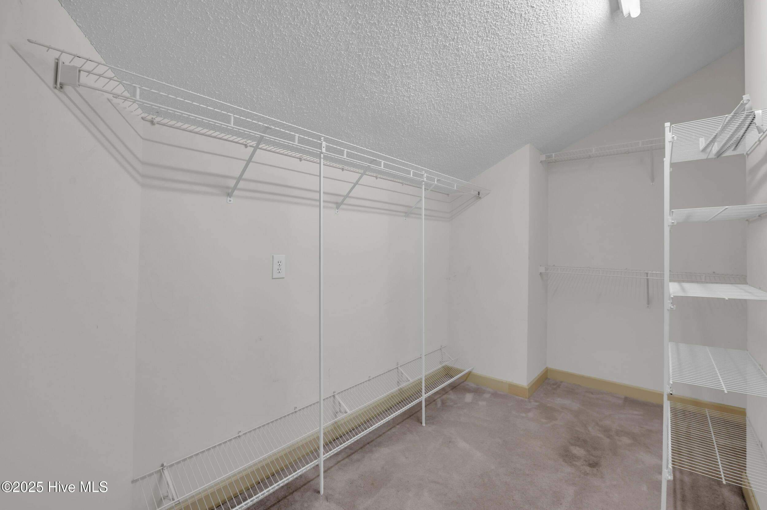 100546535 | Photo 34