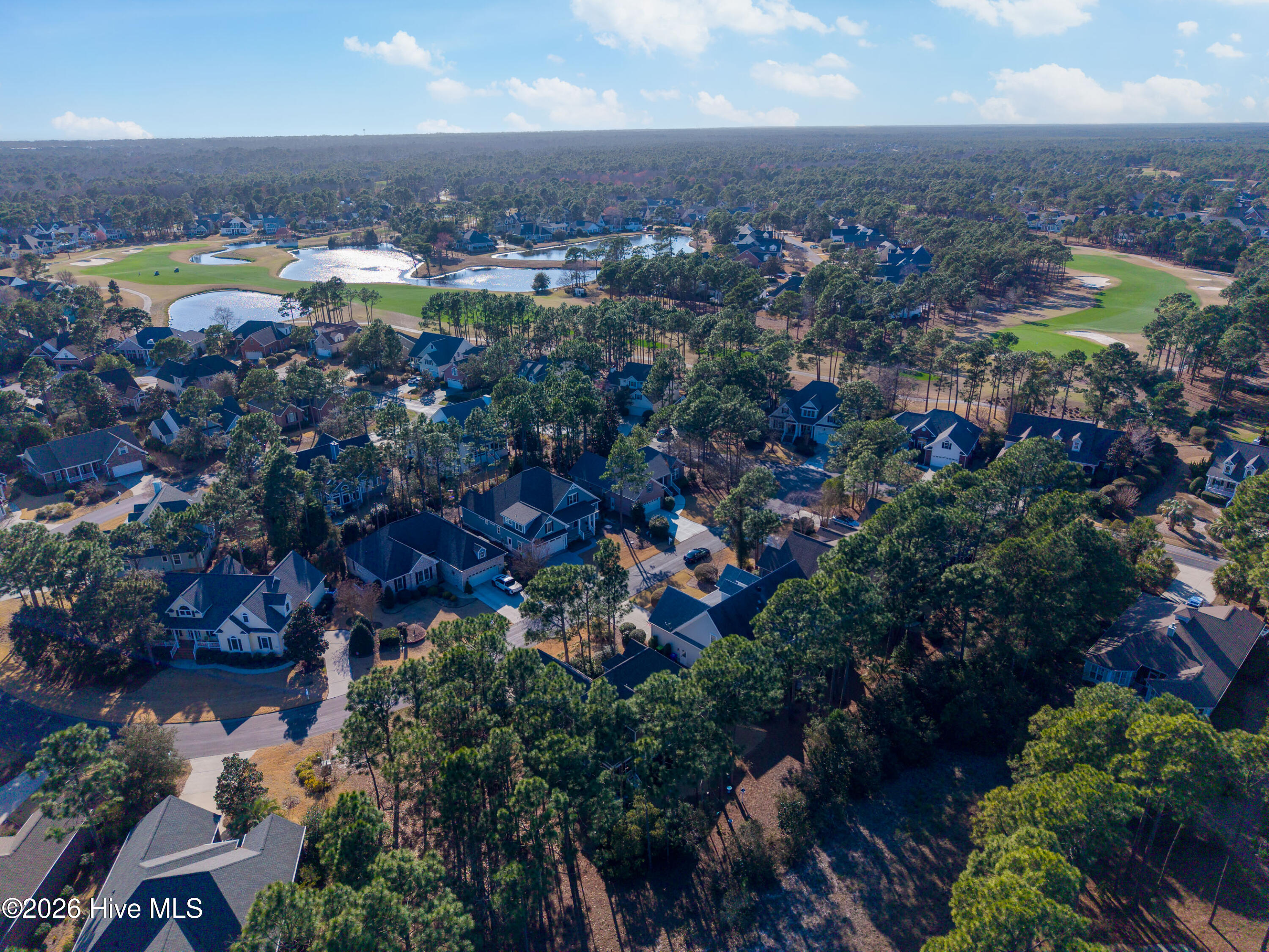 100558989 | Photo 40