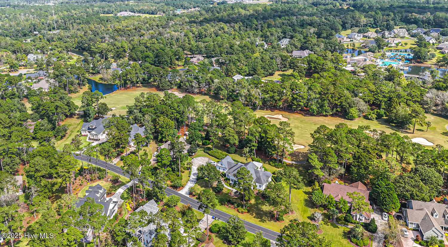 100534571 | Photo 120