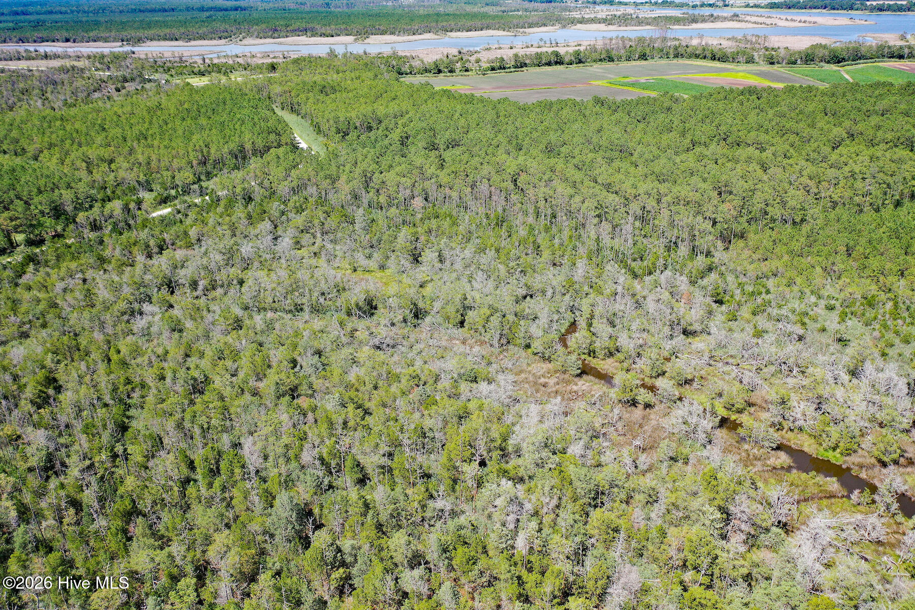 4.57 Acres Meekins Road,Bayboro