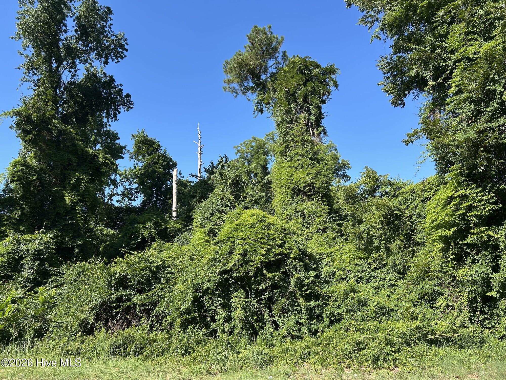 Homes for sale in Maxton, NC | 802 E Rockingham Rd, Maxton, NC 28364 | MLS# 100589130