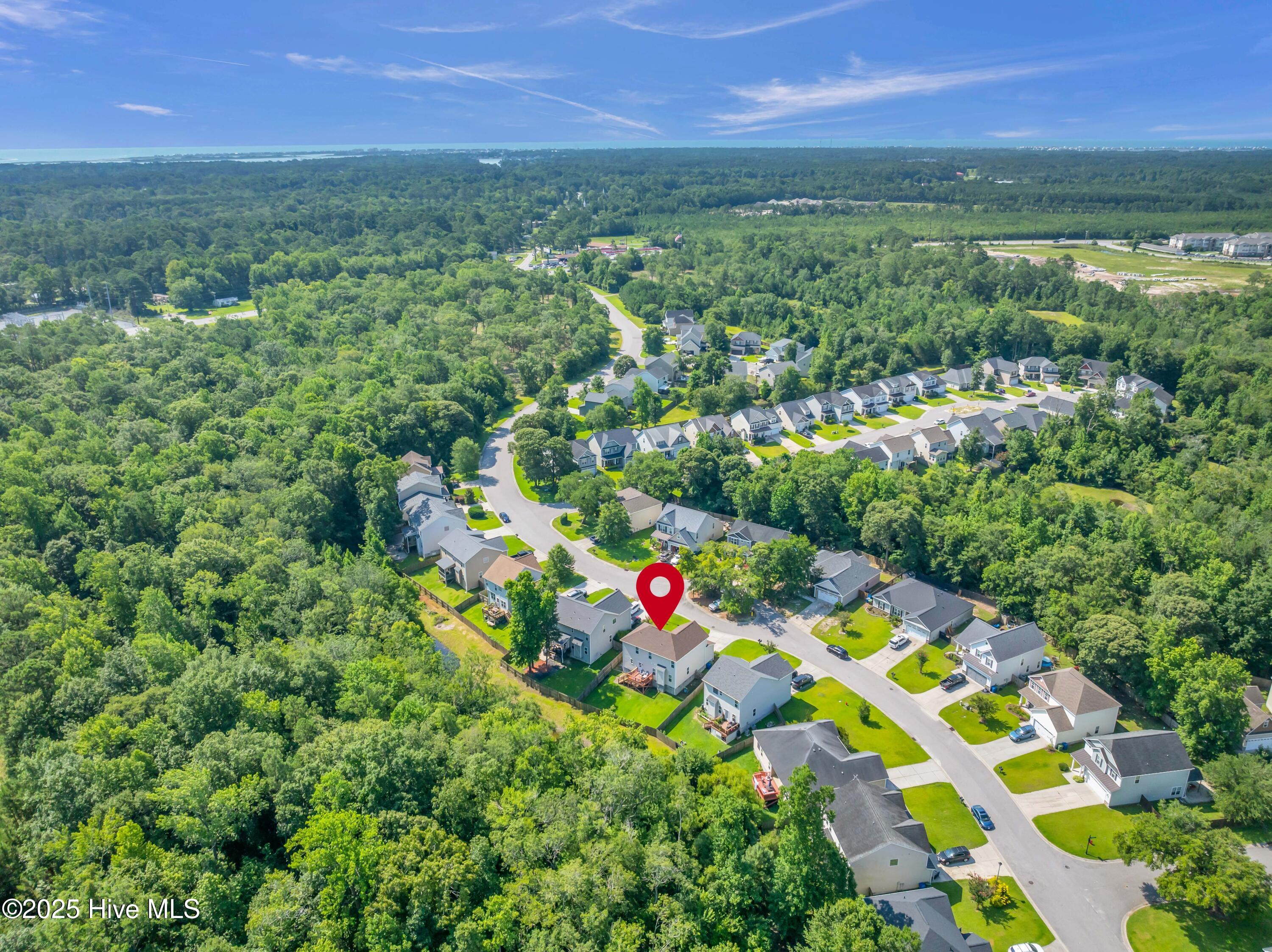 100517192 | Photo 46