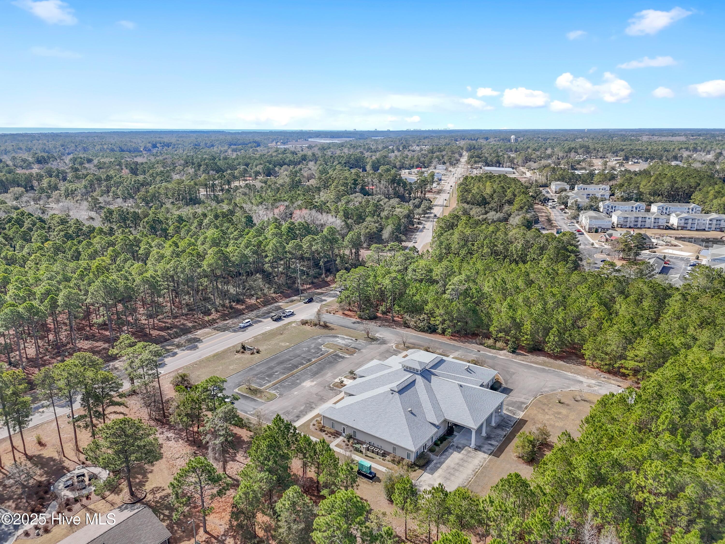 100491717 | Photo 100