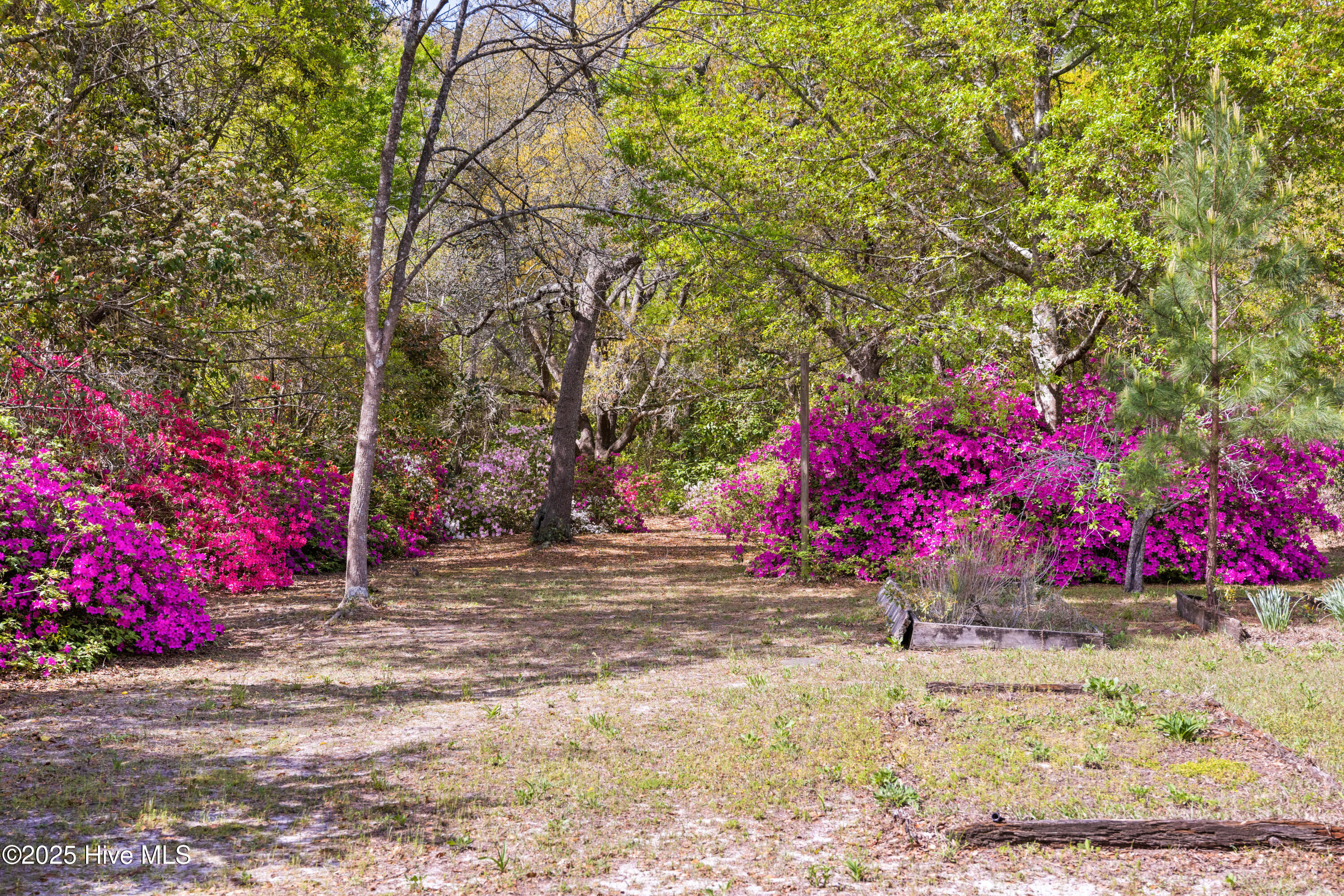 100548409 | Photo 48