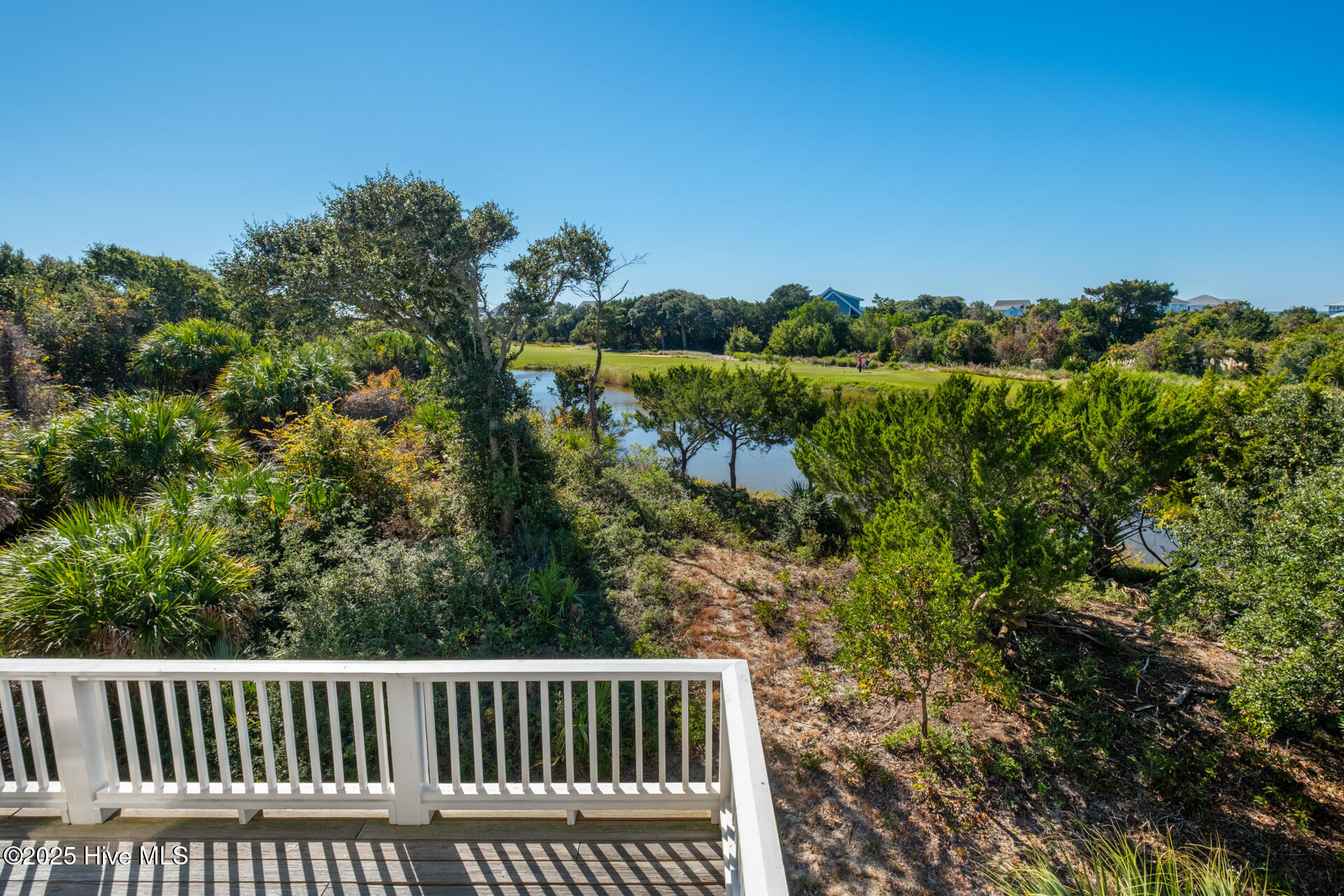 100540295 | Photo 47