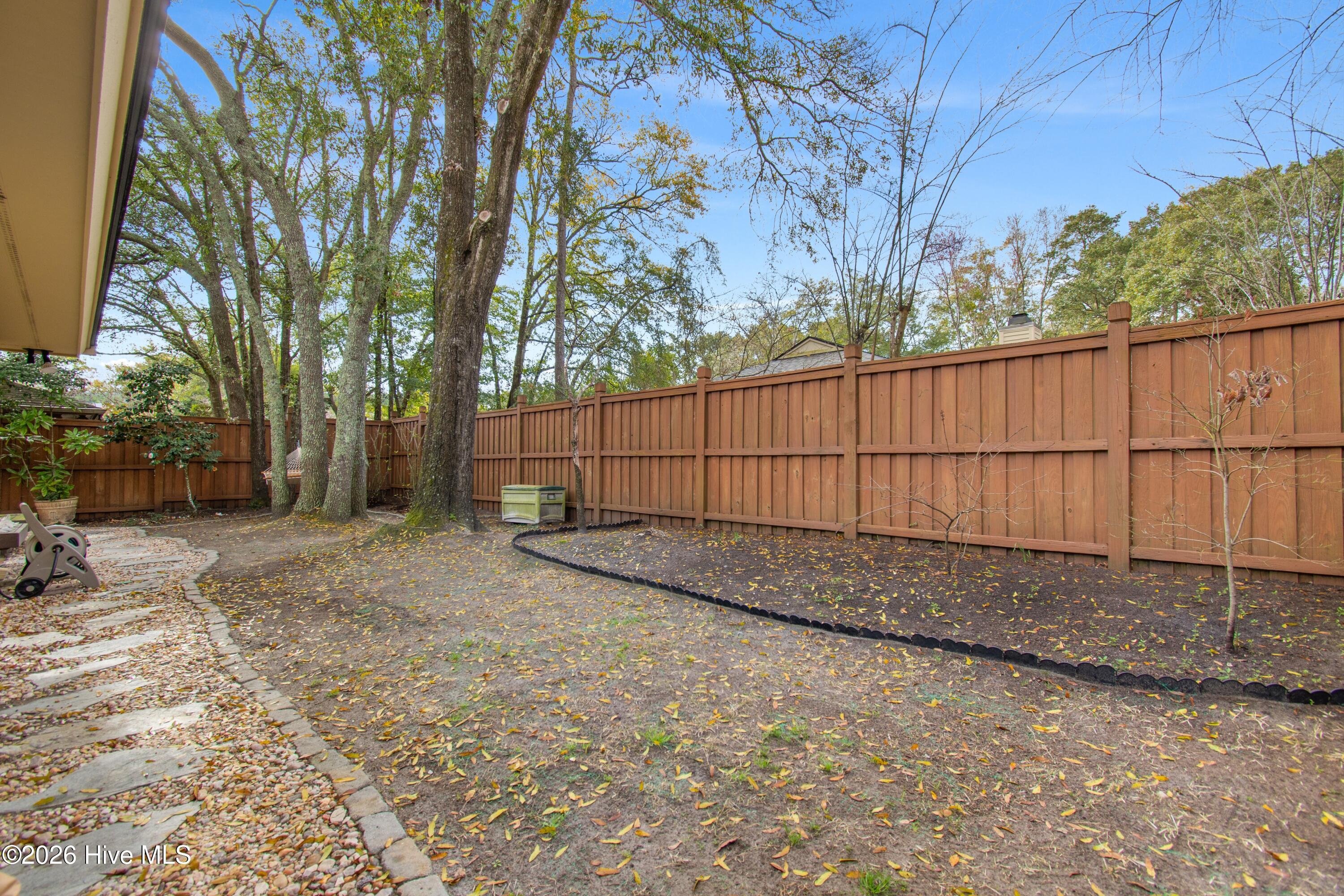 100558002 | Photo 33