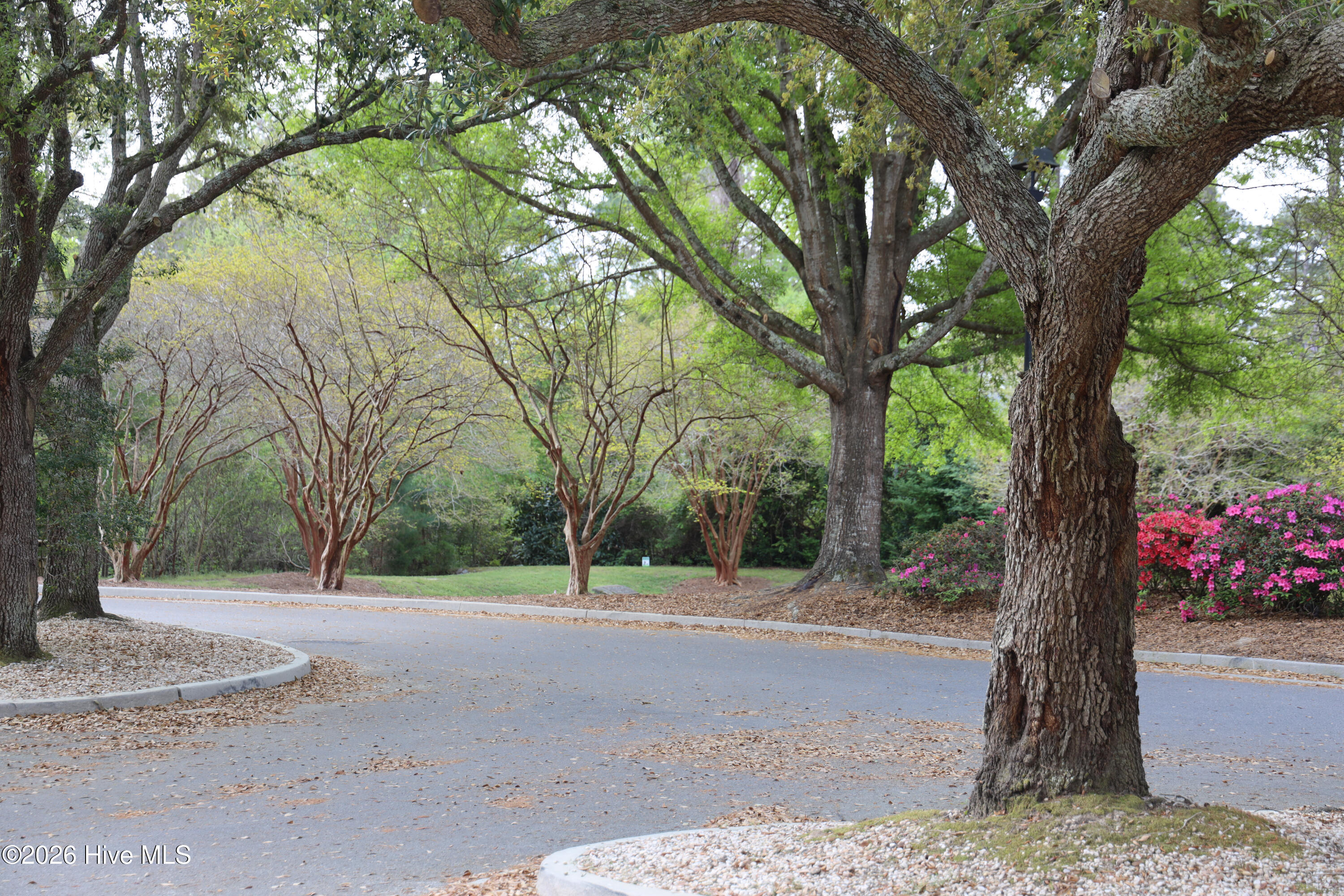 100565370 | Photo 48