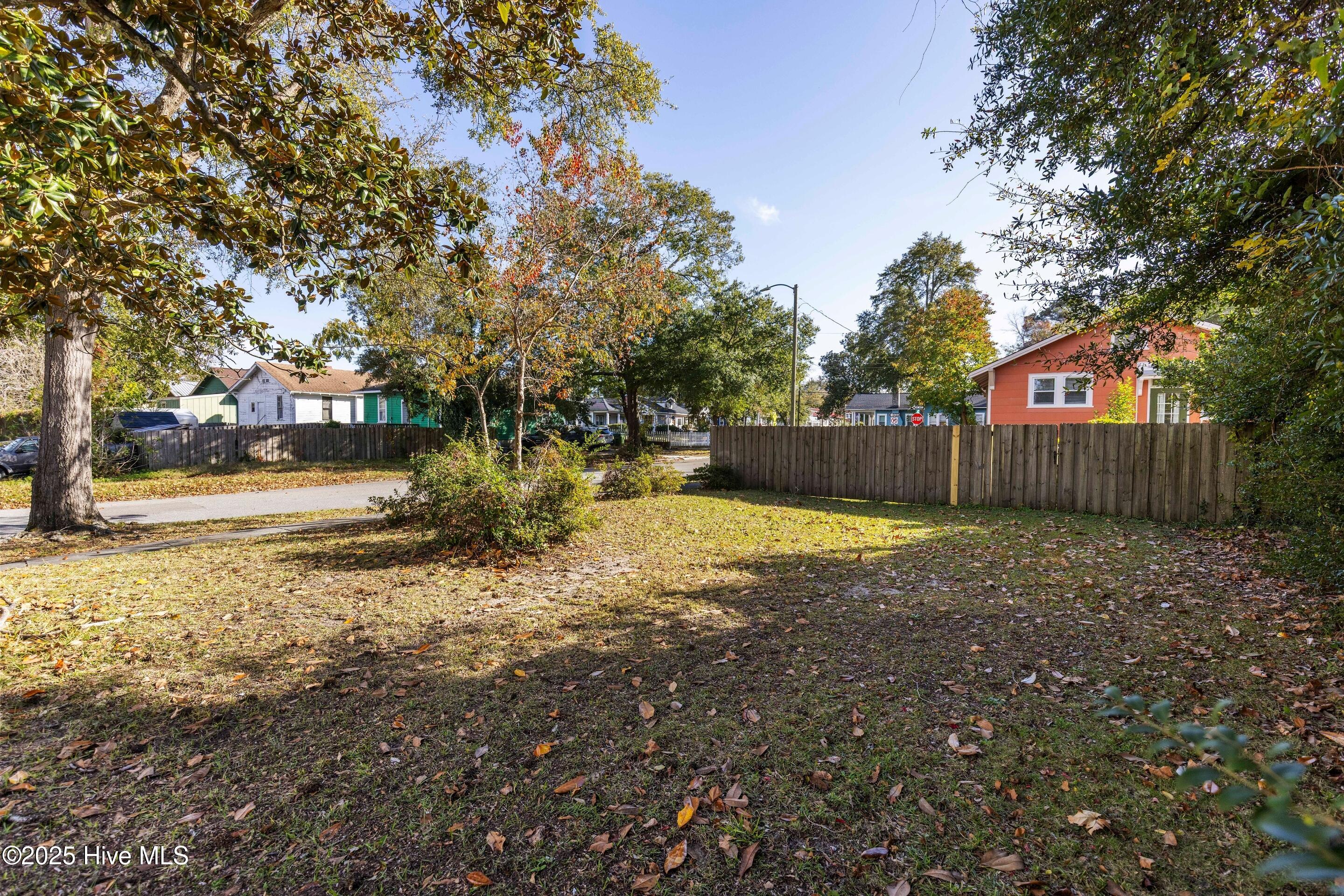 100541674 | Photo 47