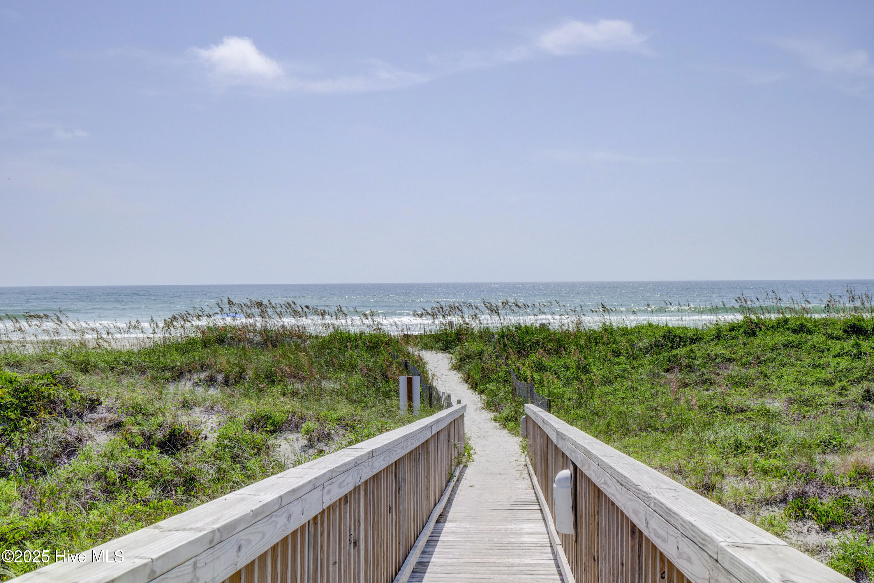 100535604 | Photo 63