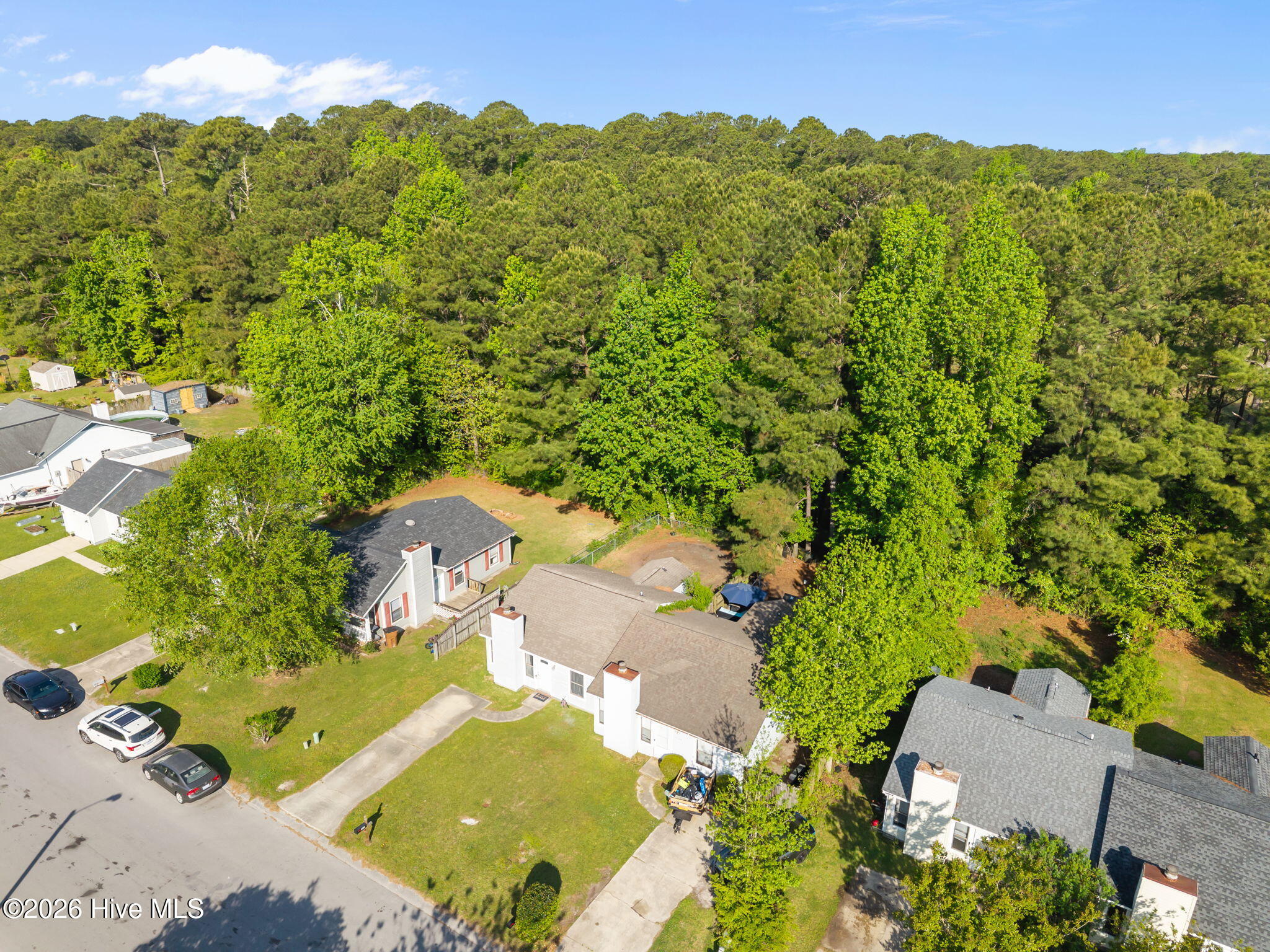1037 Spring Villa Drive, Jacksonville, NC 28540 – photo 4: 32-web-or-mls-1037 Spring Villa Dr. 73