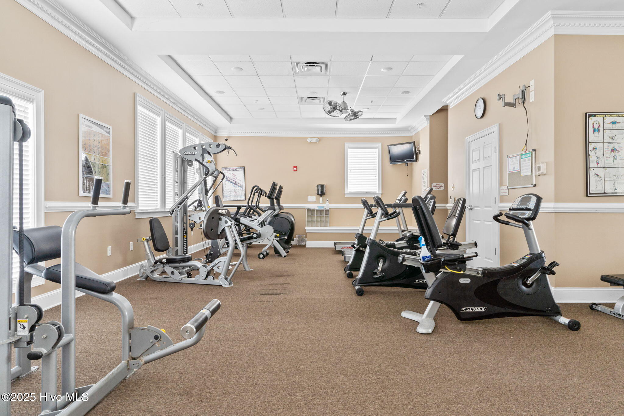 100560685 | Photo 36