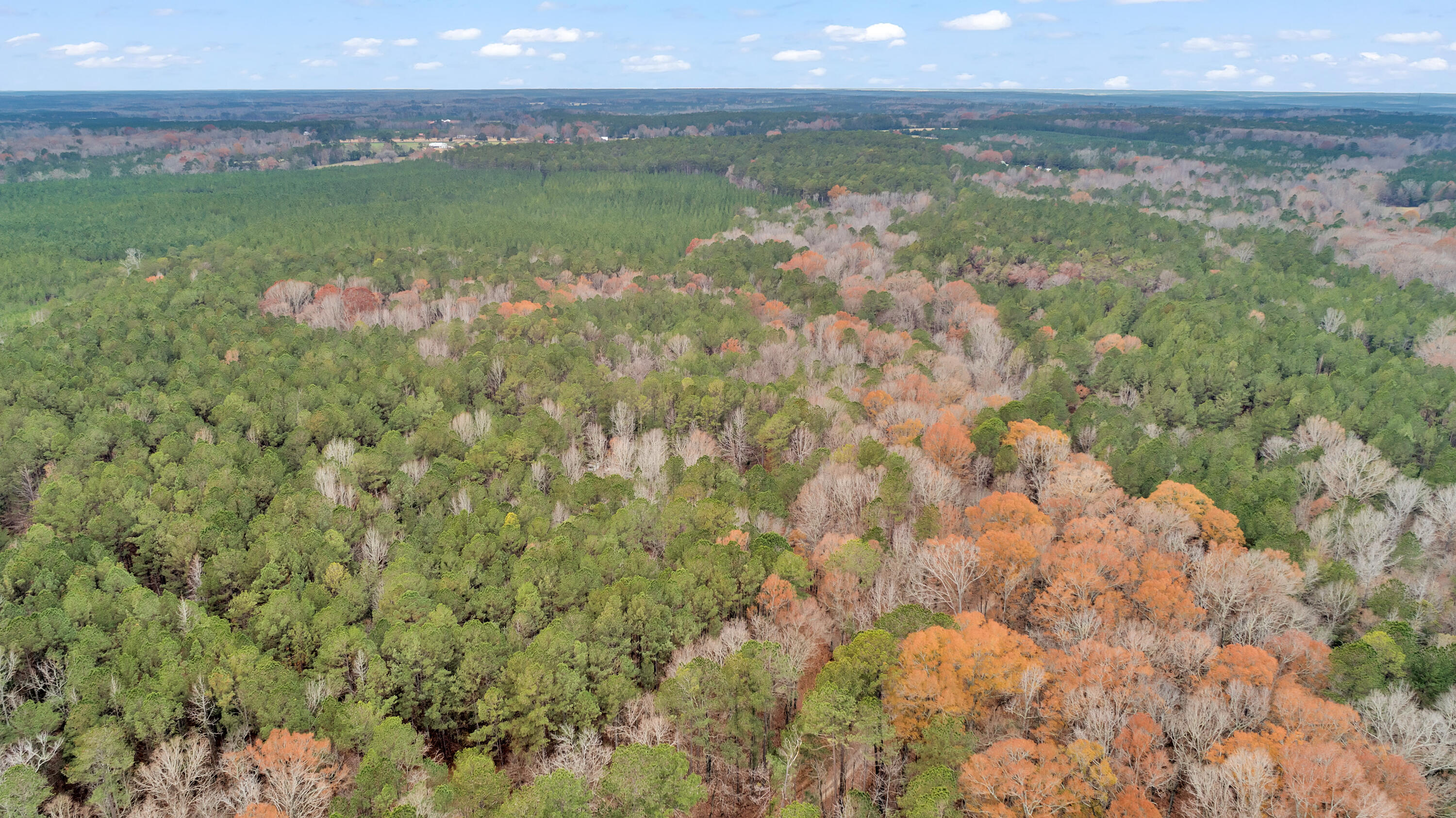 Saggus Rd land 121-007A, 400ft View, Dro