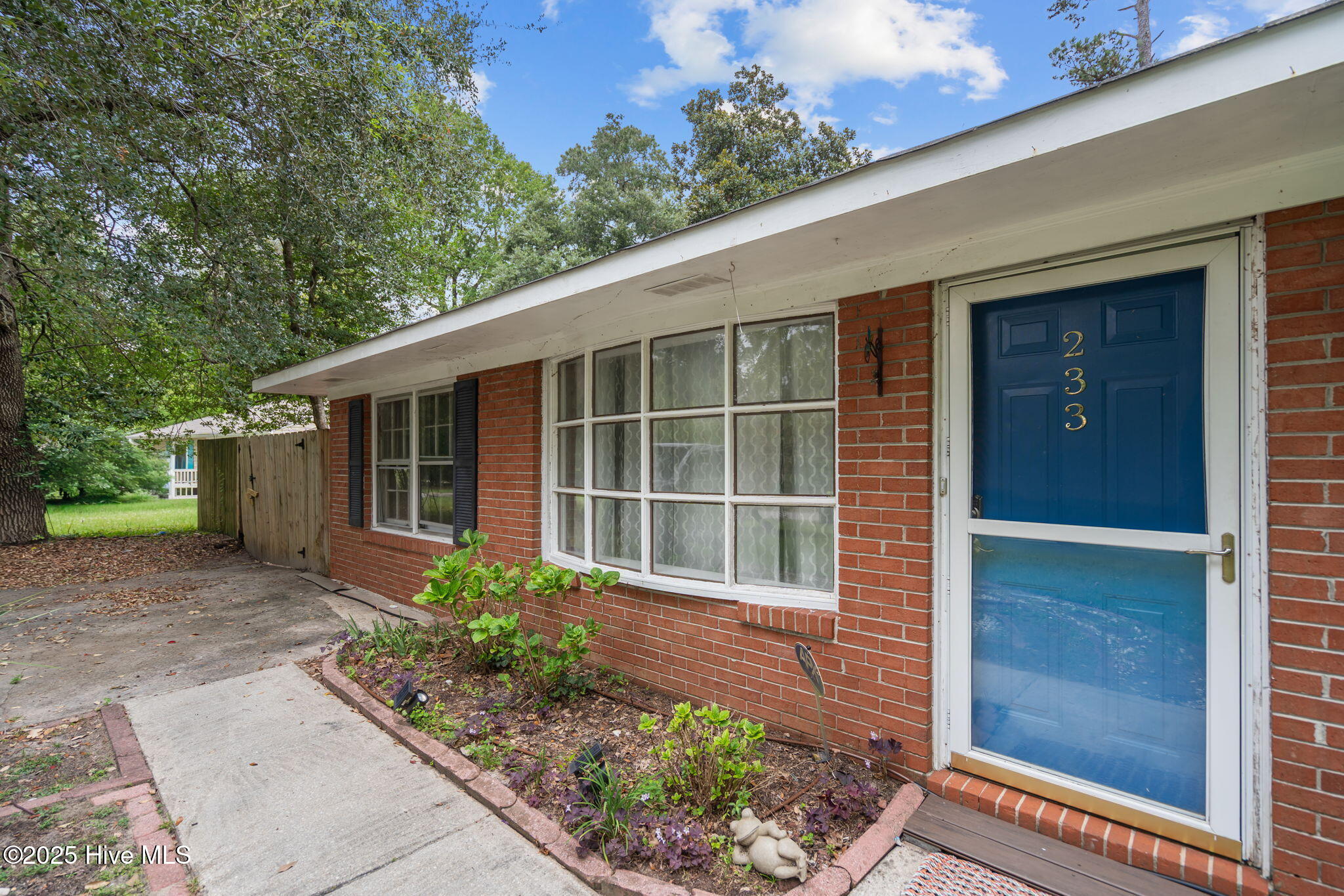 100531423 | Photo 42