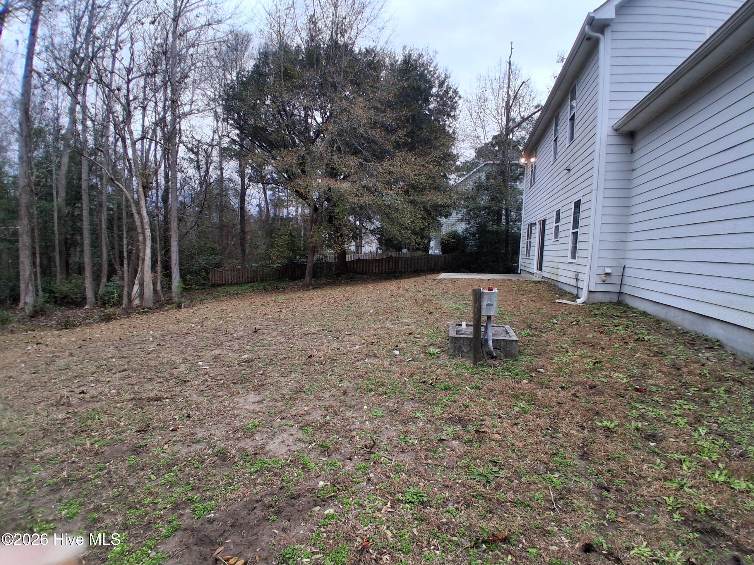 100504331 | Photo 47