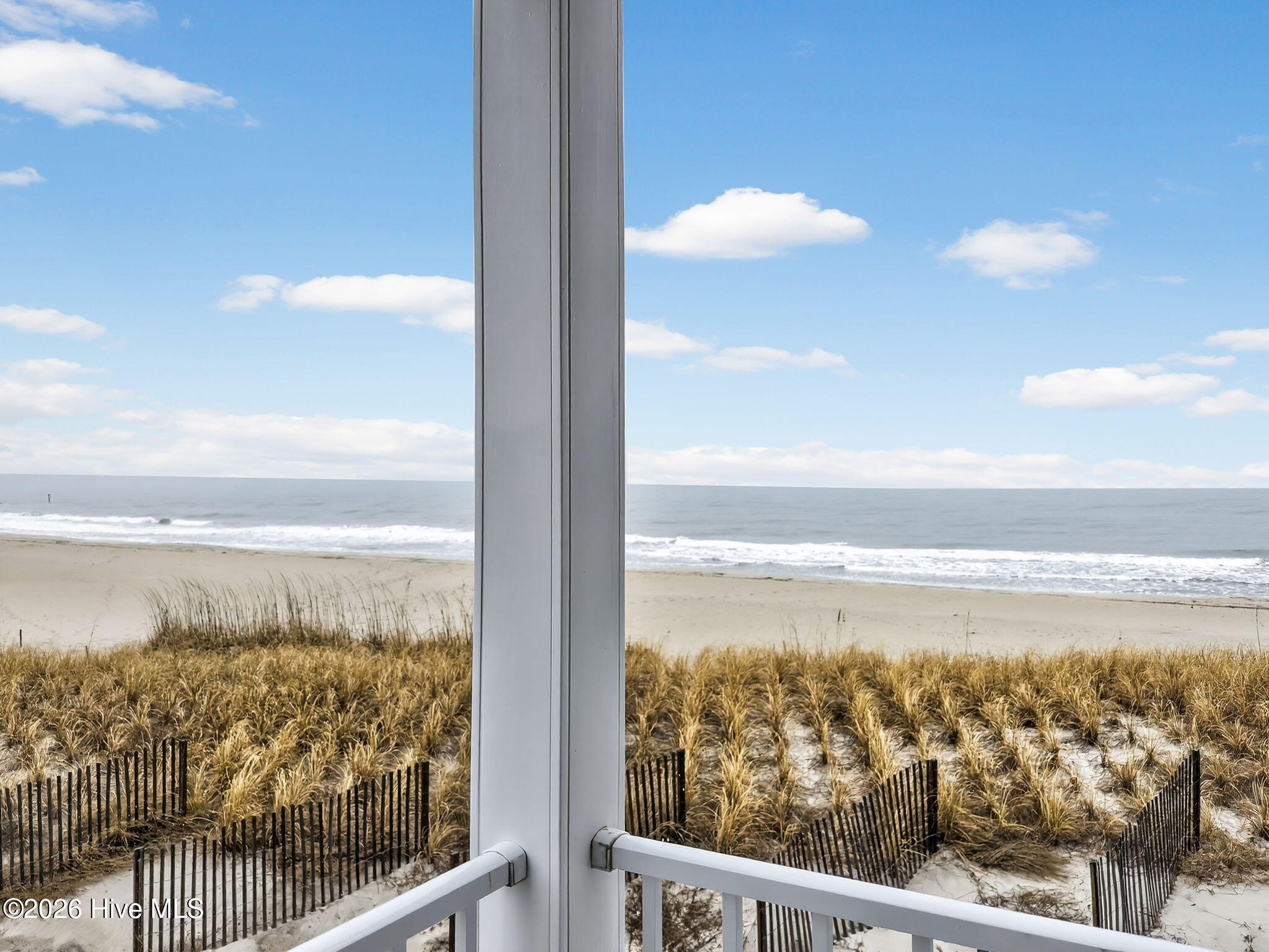 100558118 | Photo 43