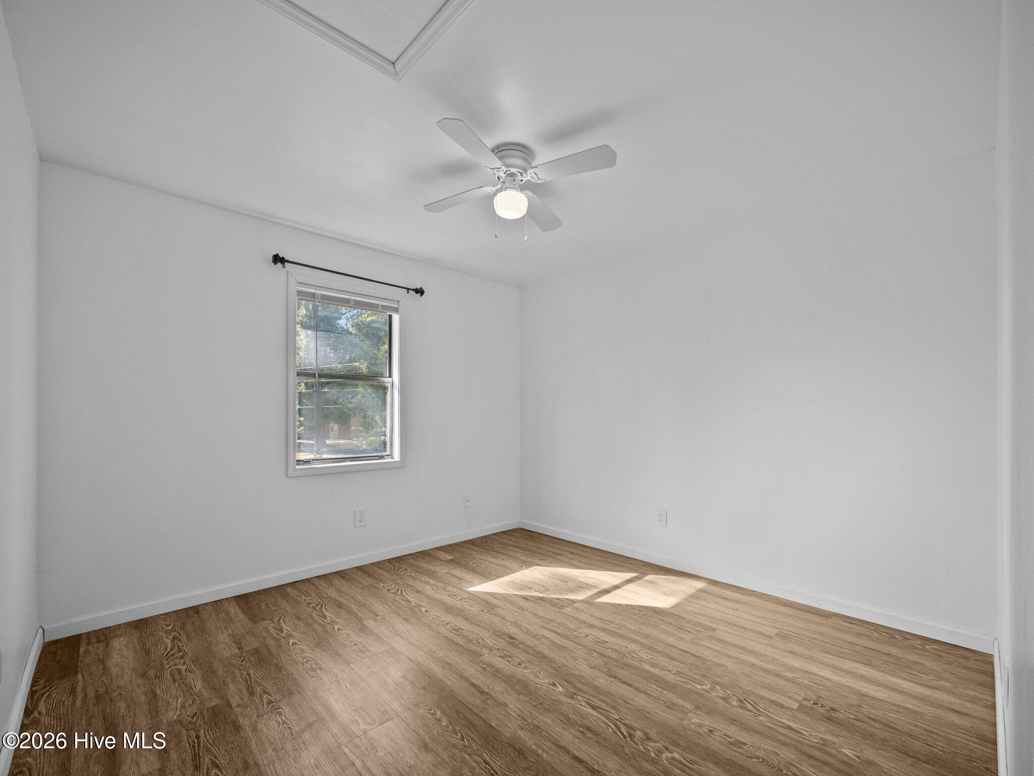 100566781 | Photo 15