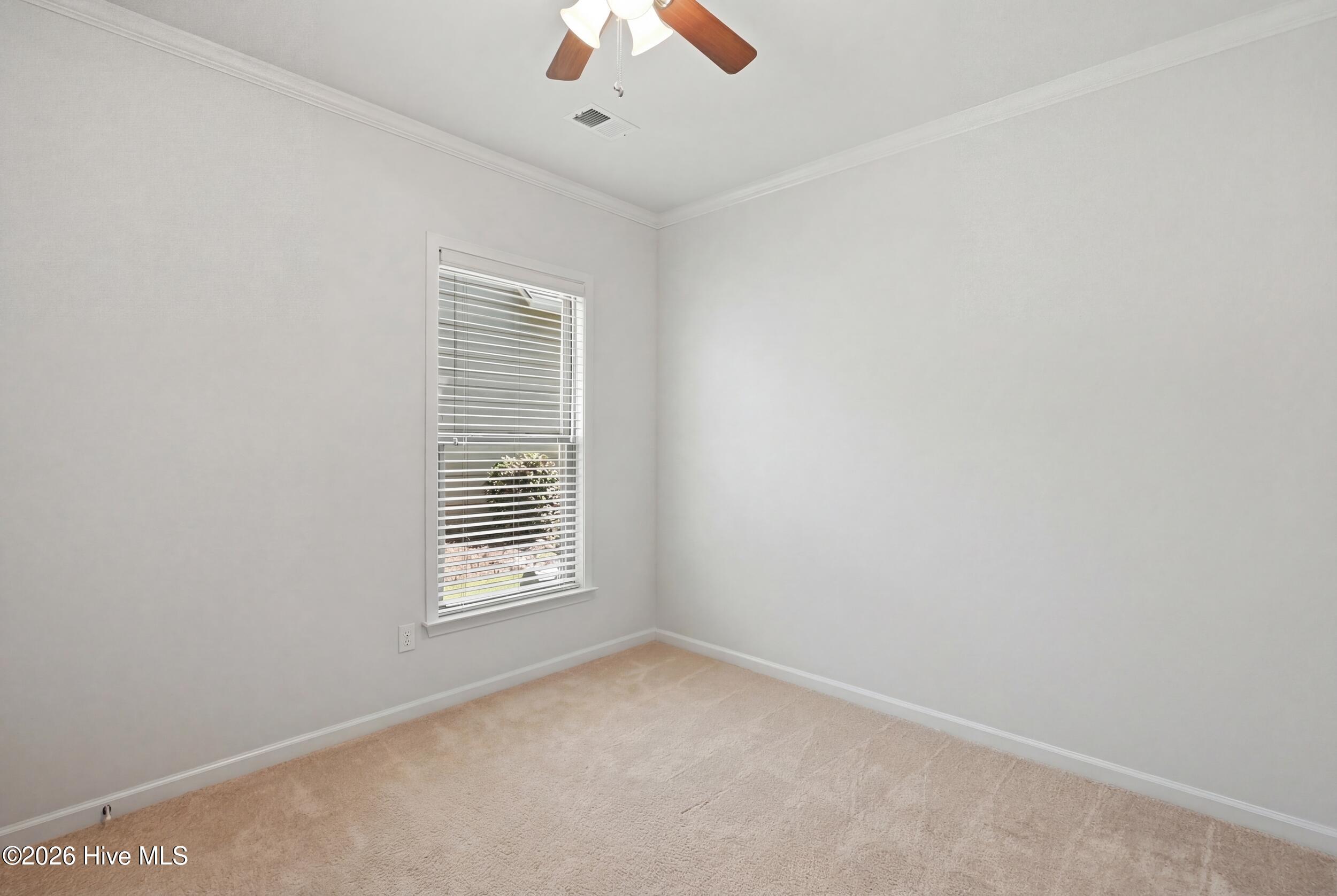 100565292 | Photo 23