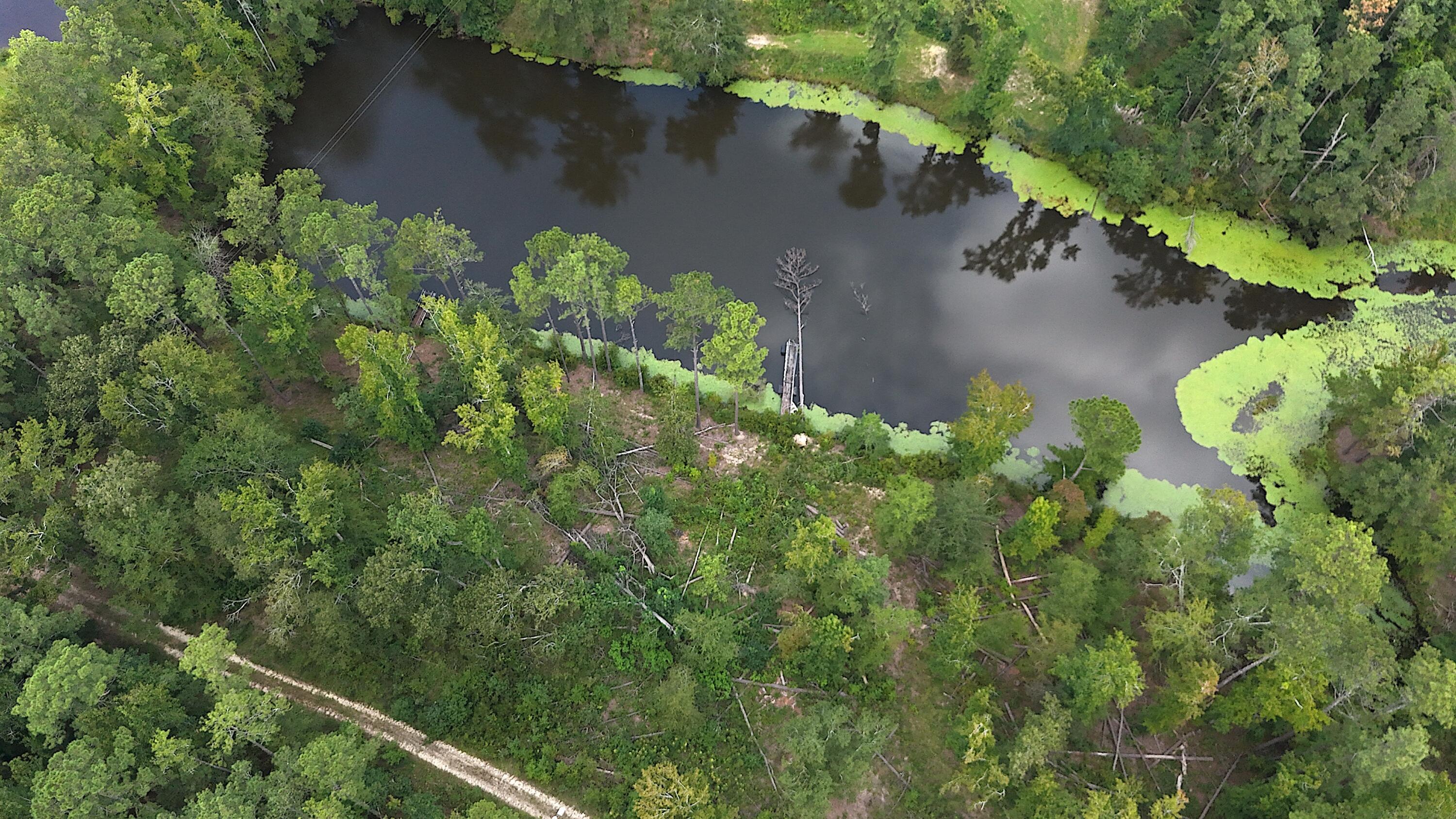 Homes for sale in Trenton, SC | 0 Hummingbird Dr, Trenton, SC 29847 | MLS# 546015